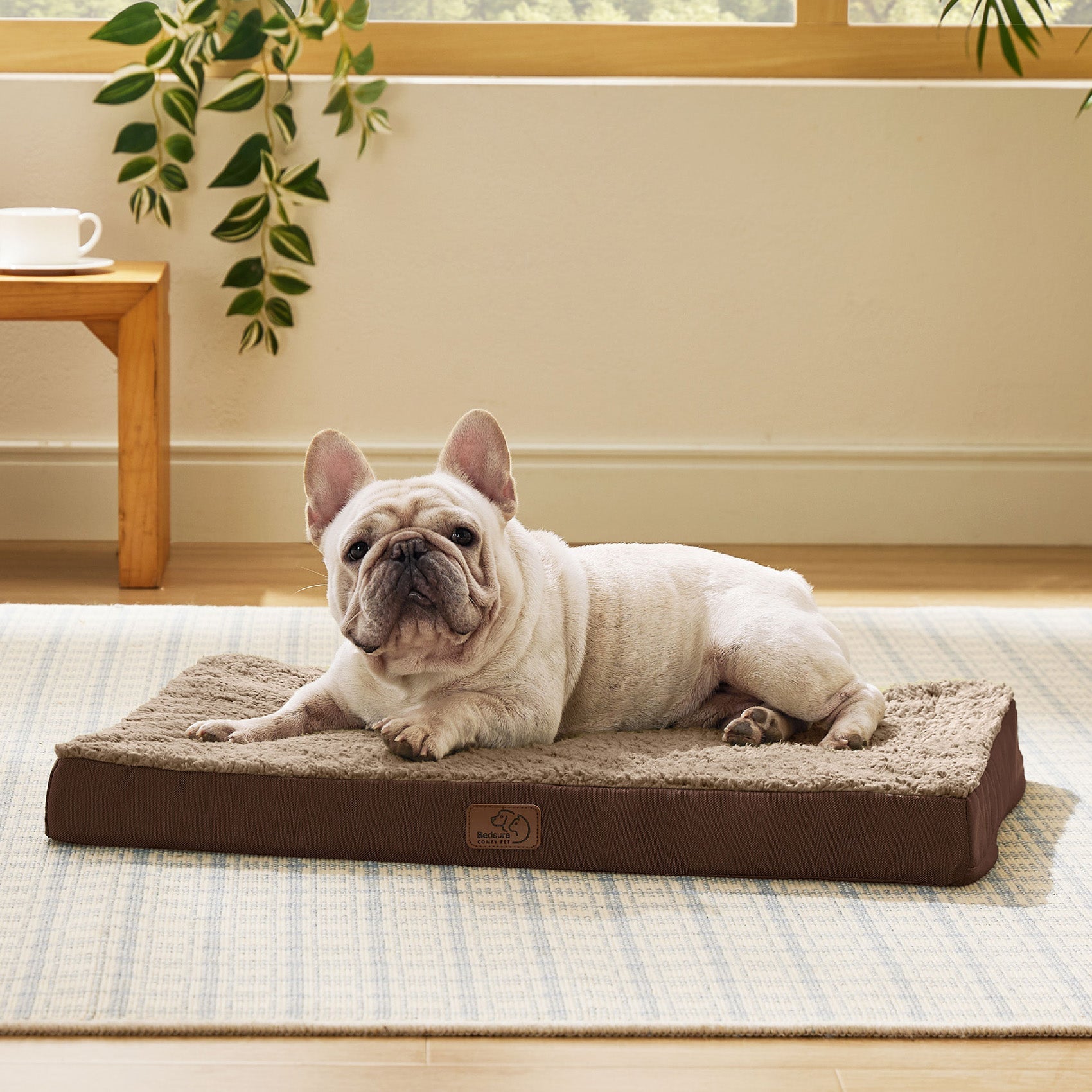 Large Orthopedic Washable Dog Bed