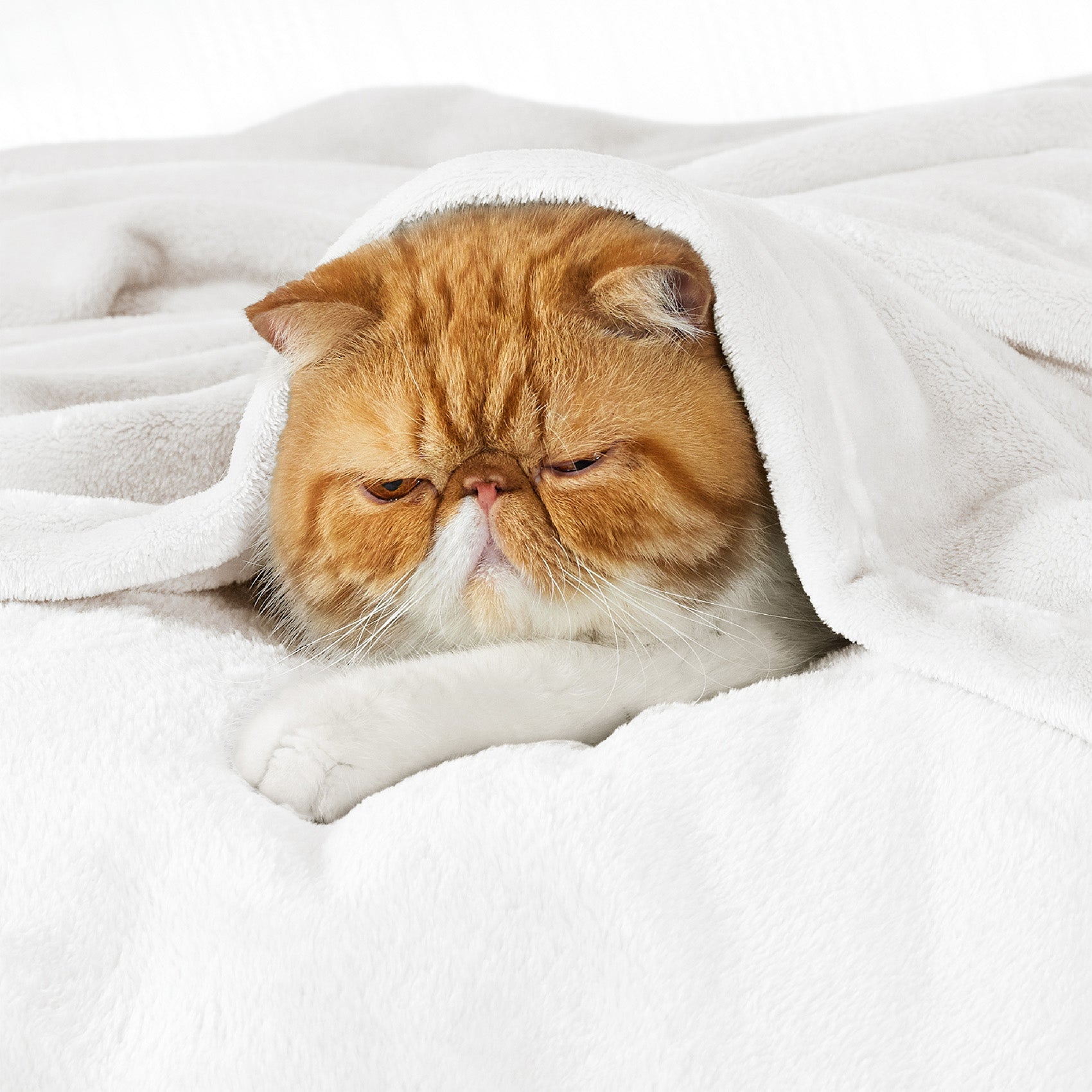 Flannel Fleece Blanket 280gsm