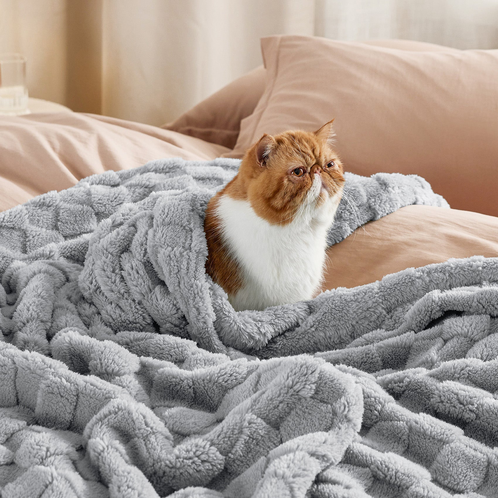 Jacquard Shaggy Sherpa Blanket