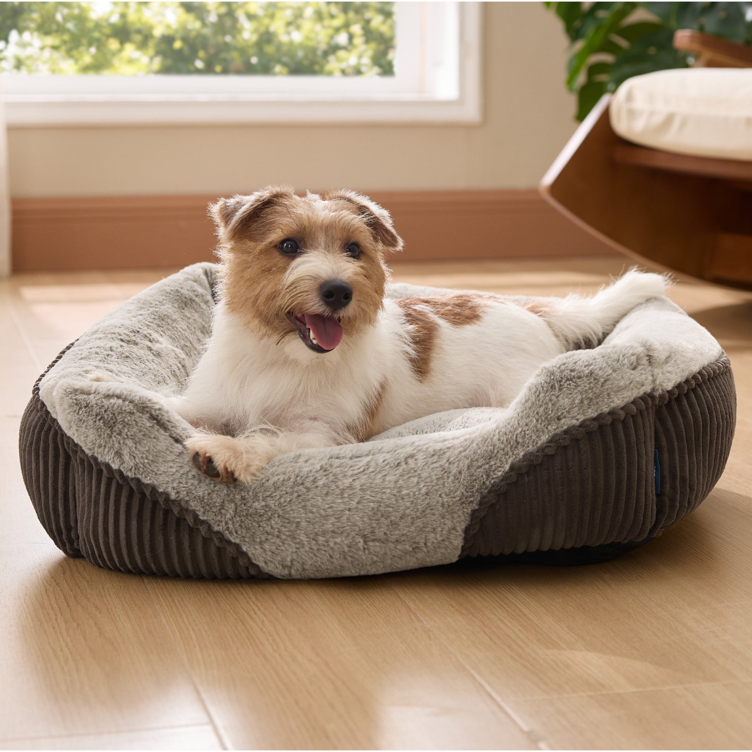 Rectangle Pet Bed