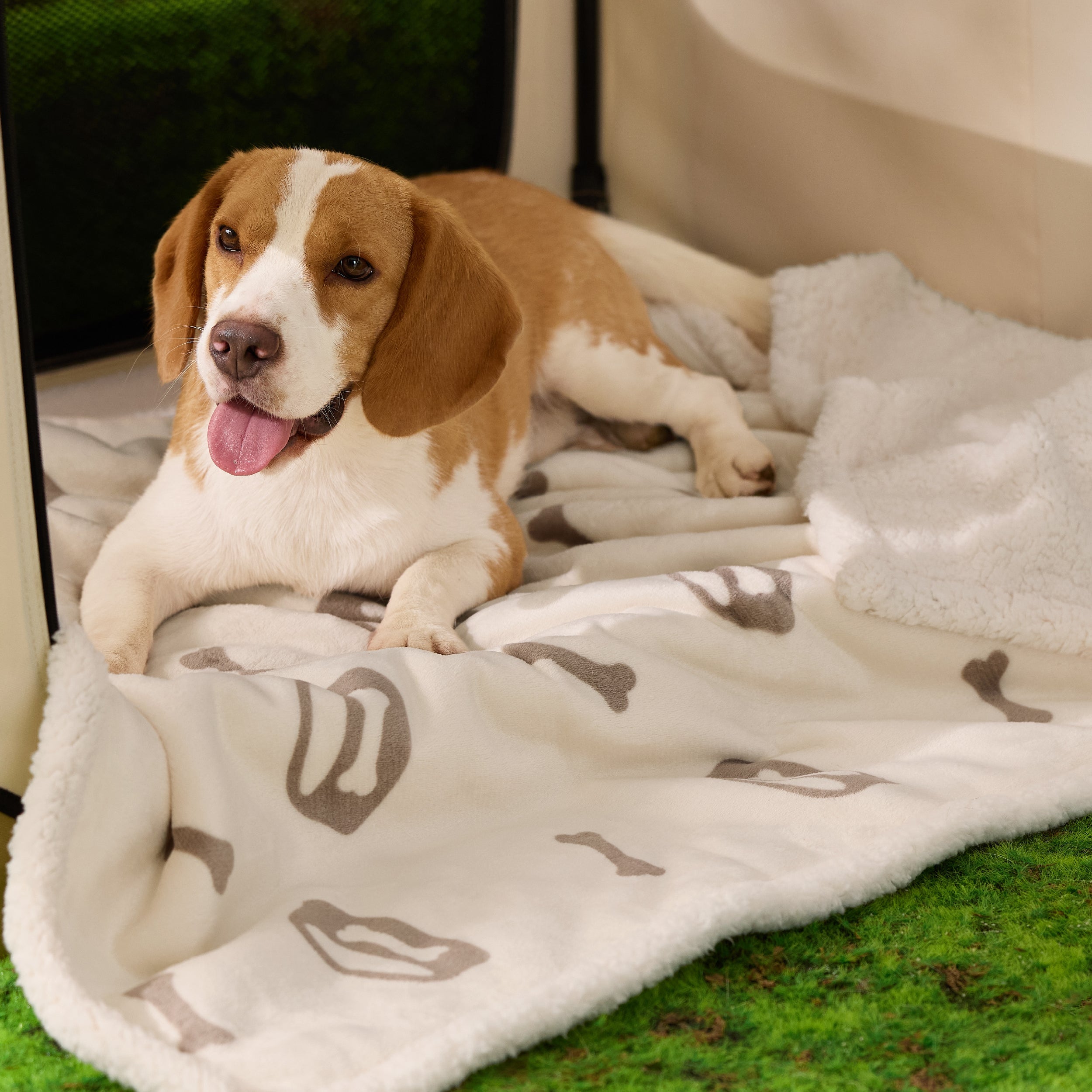 Reversible Waterproof Sherapa Blanket