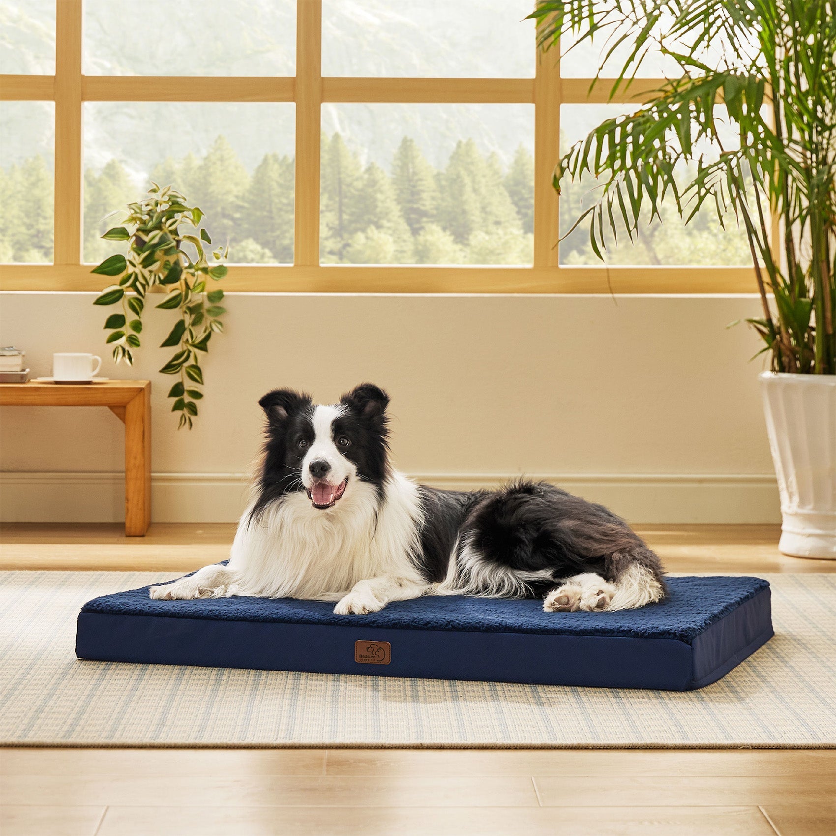Large Orthopedic Washable Dog Bed