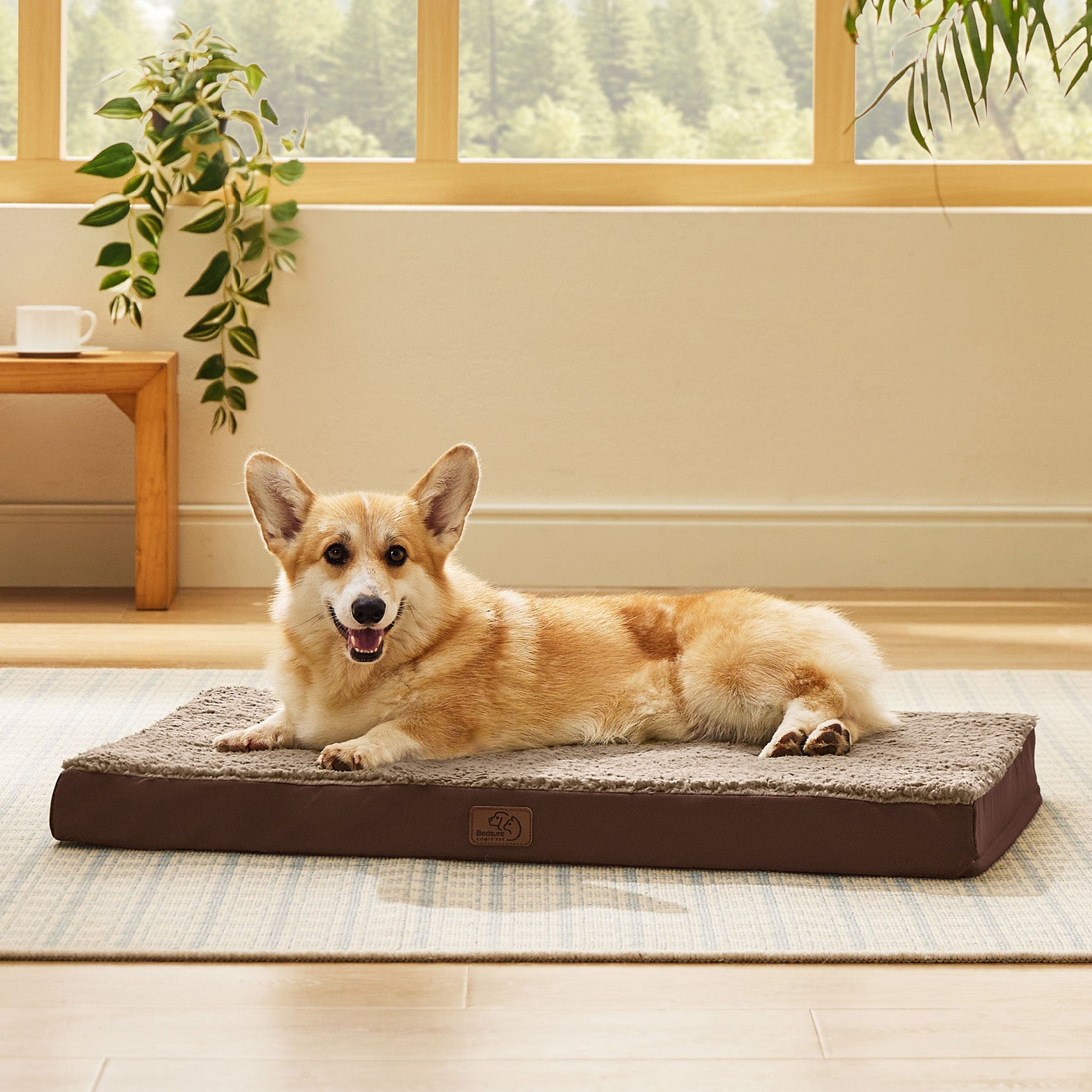 Large Orthopedic Washable Dog Bed