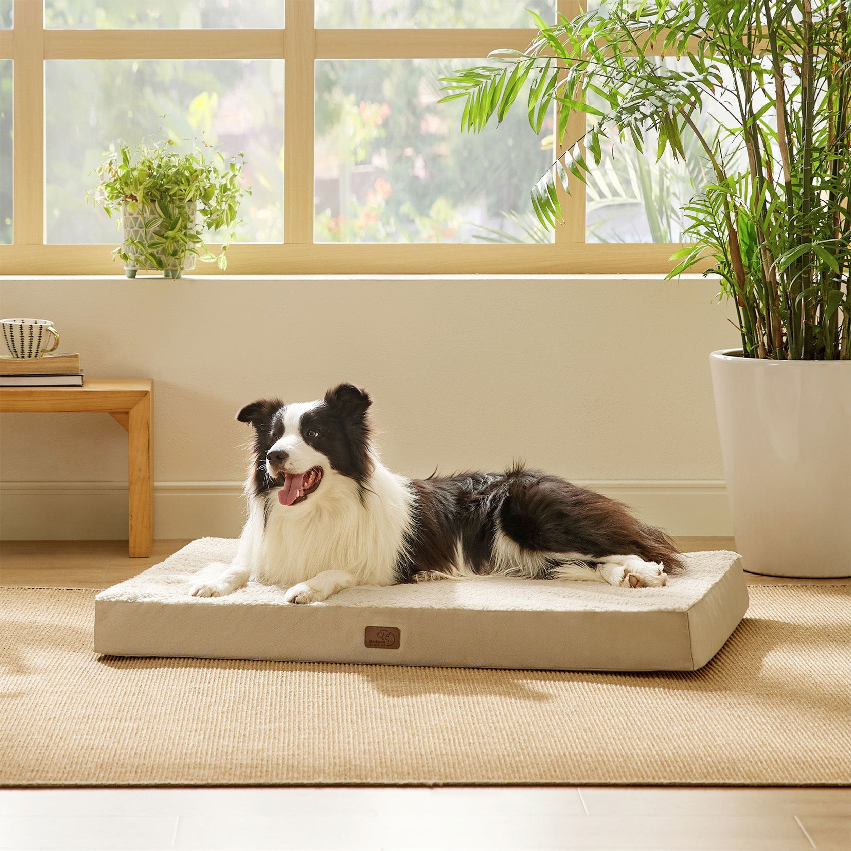 Large Orthopedic Washable Dog Bed