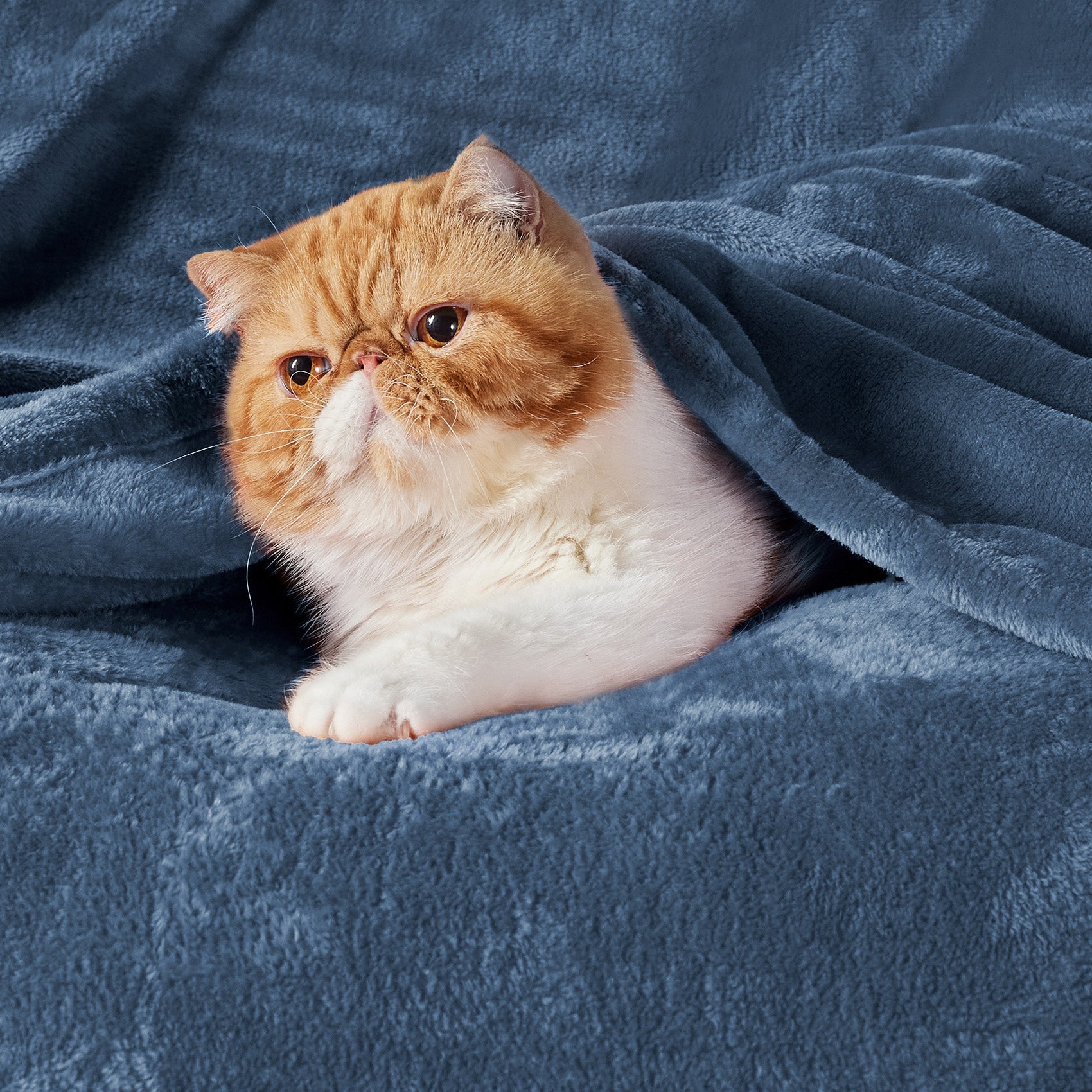 Flannel Fleece Blanket 280gsm