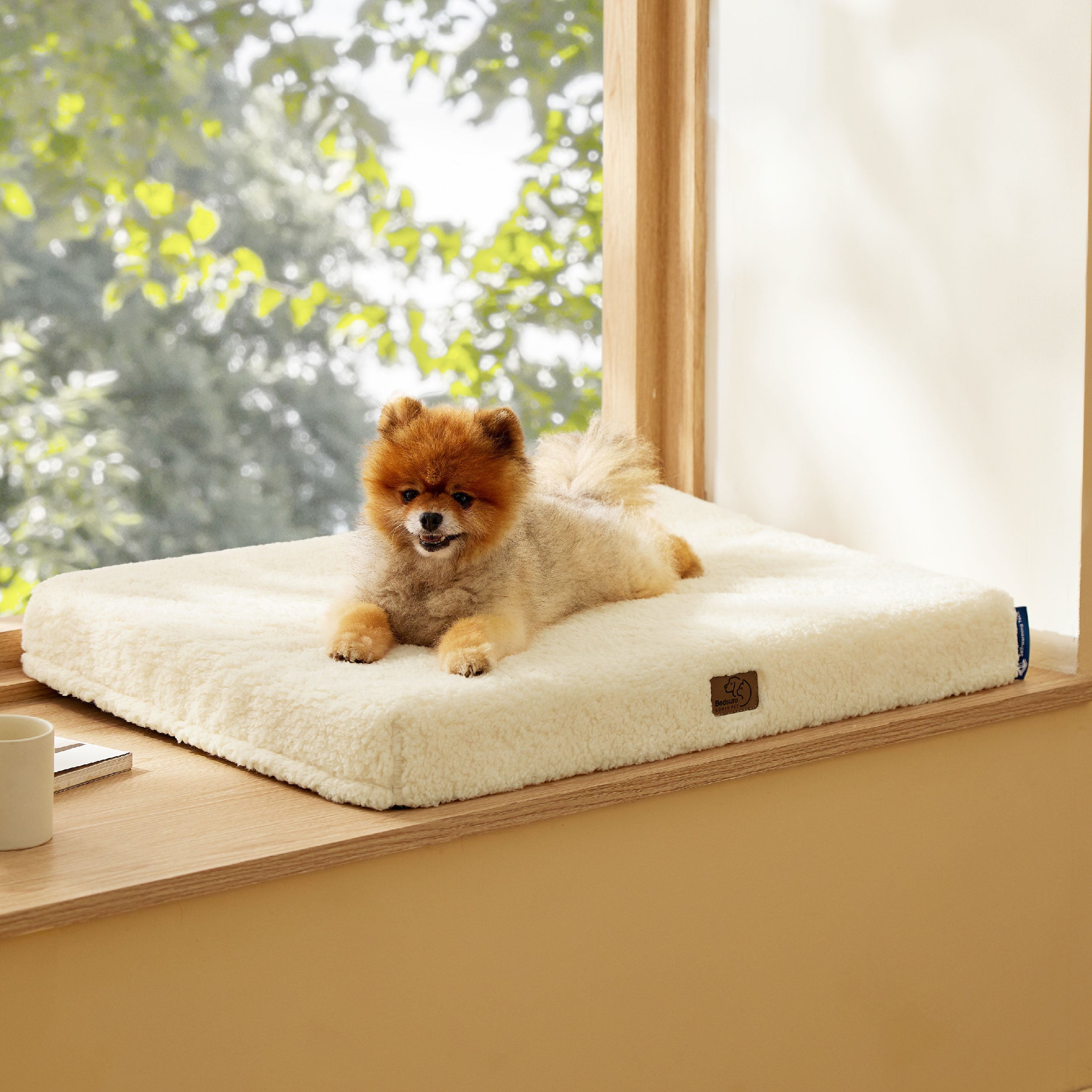 Self-Warming Egg Foam Pet Mat