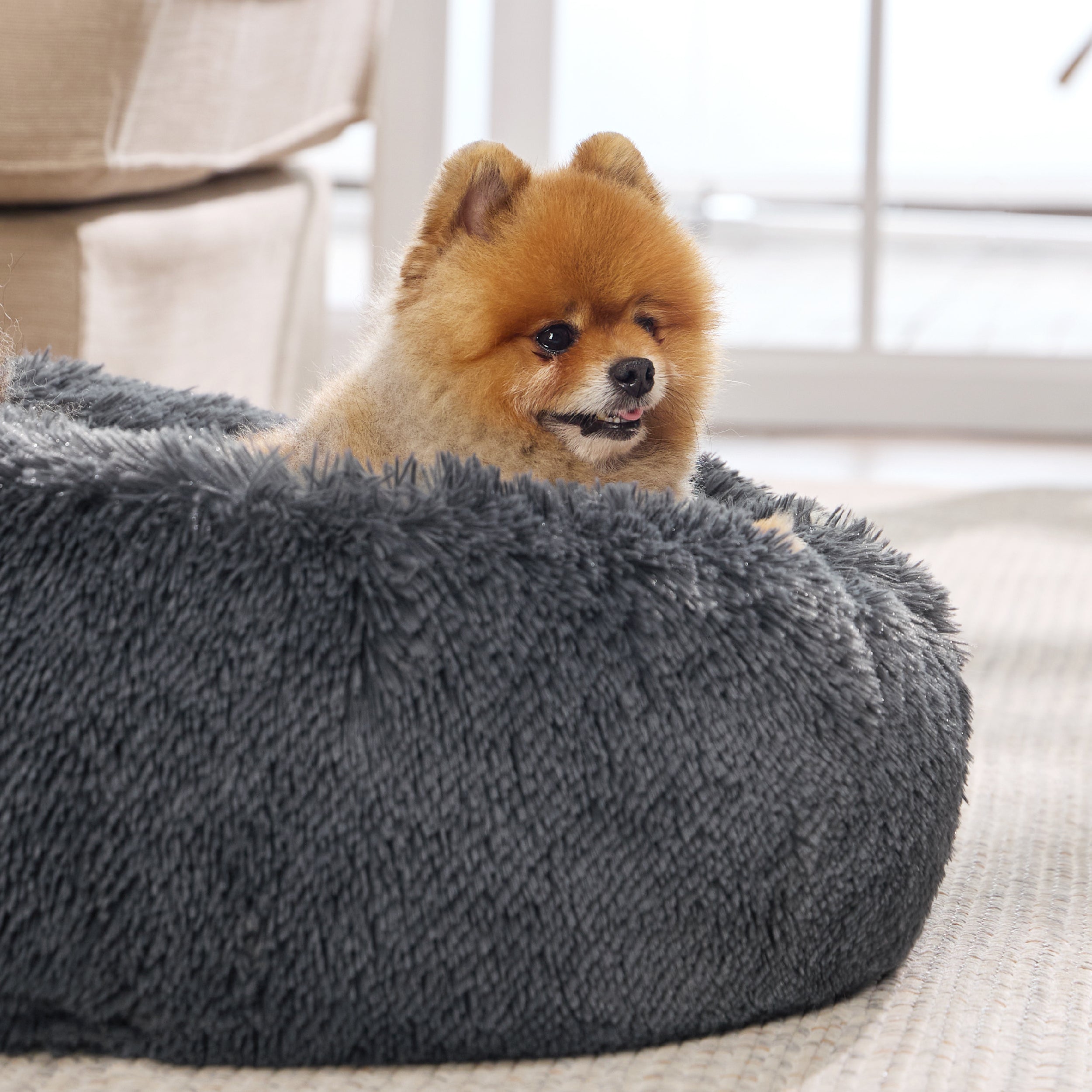 Calming Donut Bed for Dogs and Cats