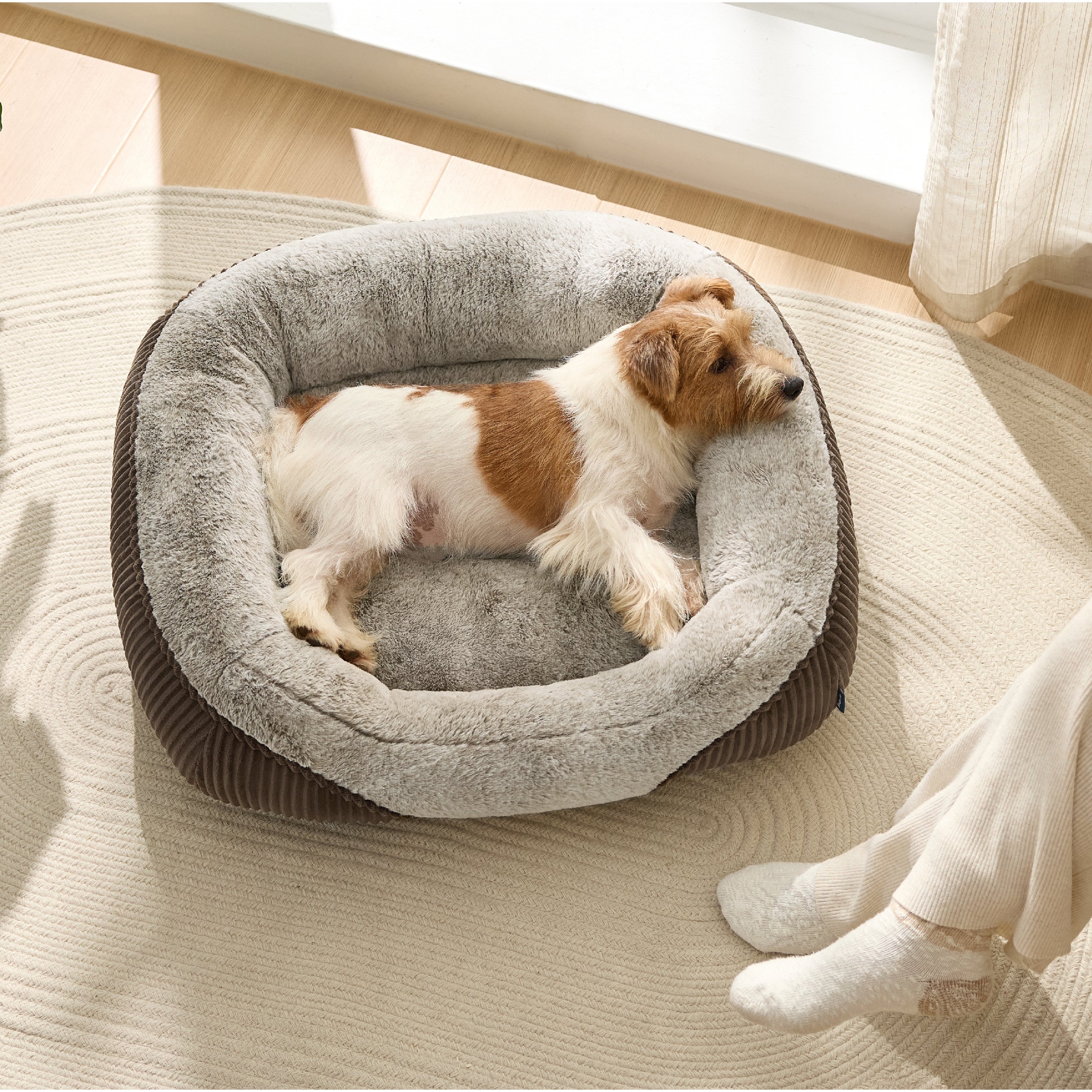 Rectangle Pet Bed