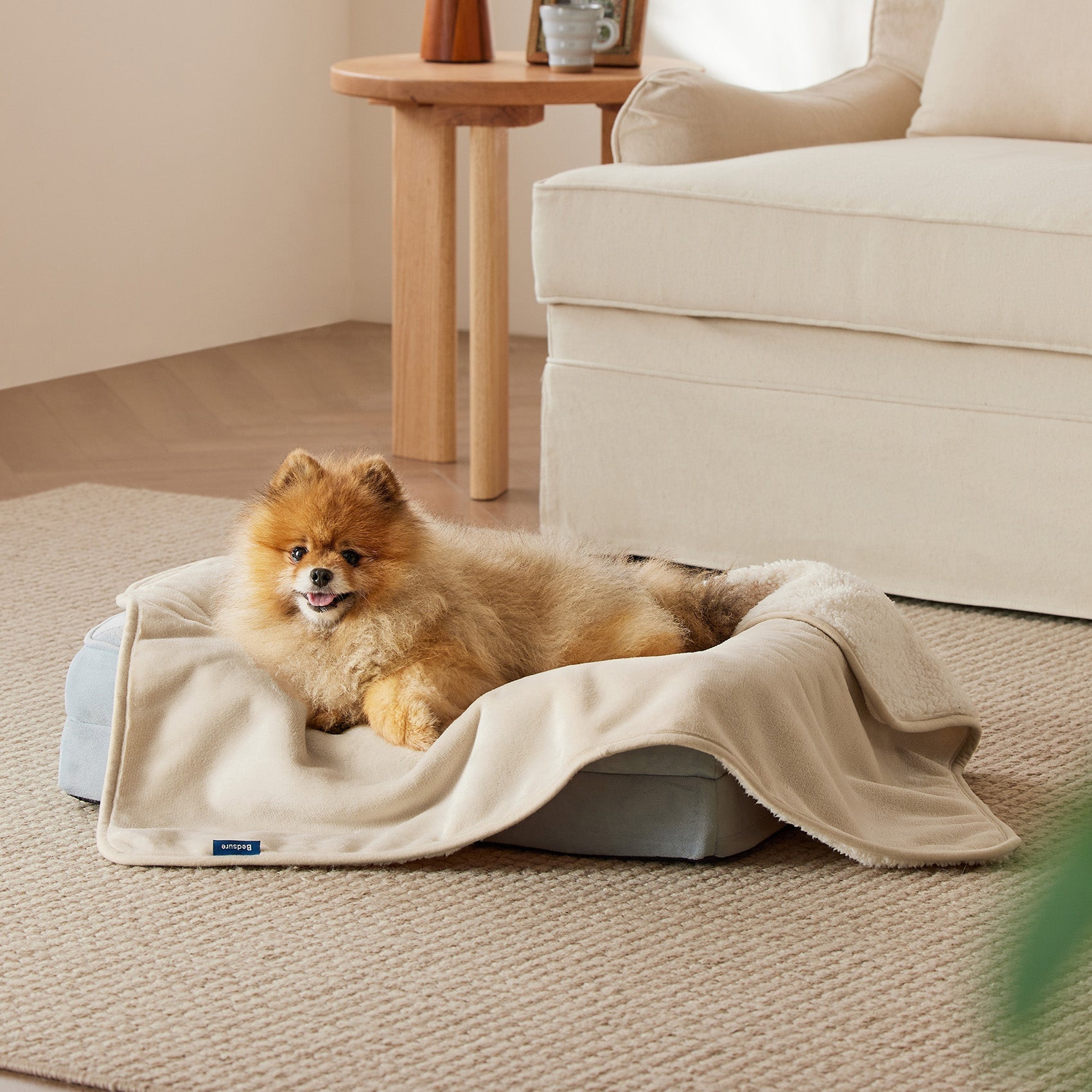 Fluffy Pomeranian dog relaxing on a beige reversible Sherpa and microfiber fleece dog blanket on a pet bed.