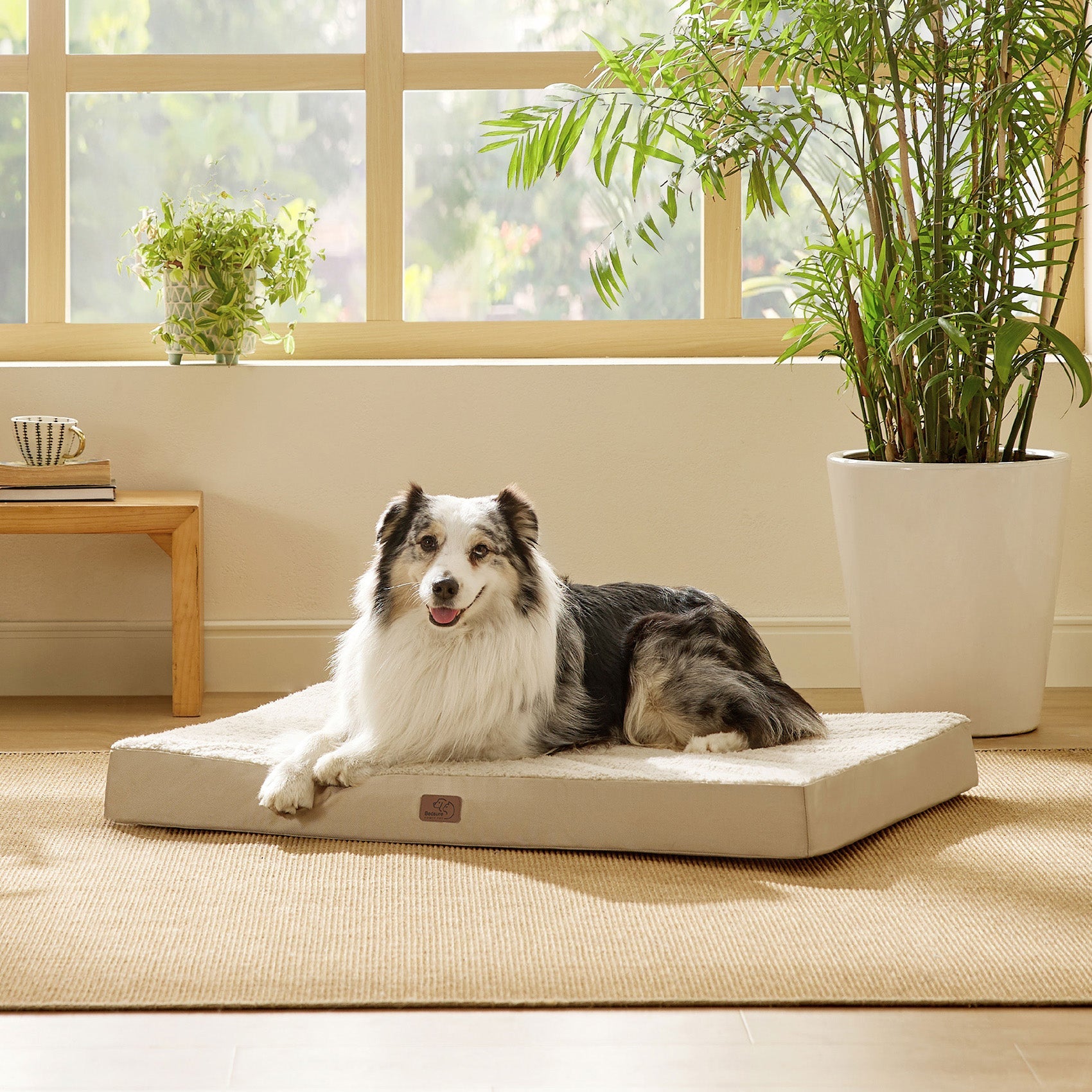 Large Orthopedic Washable Dog Bed