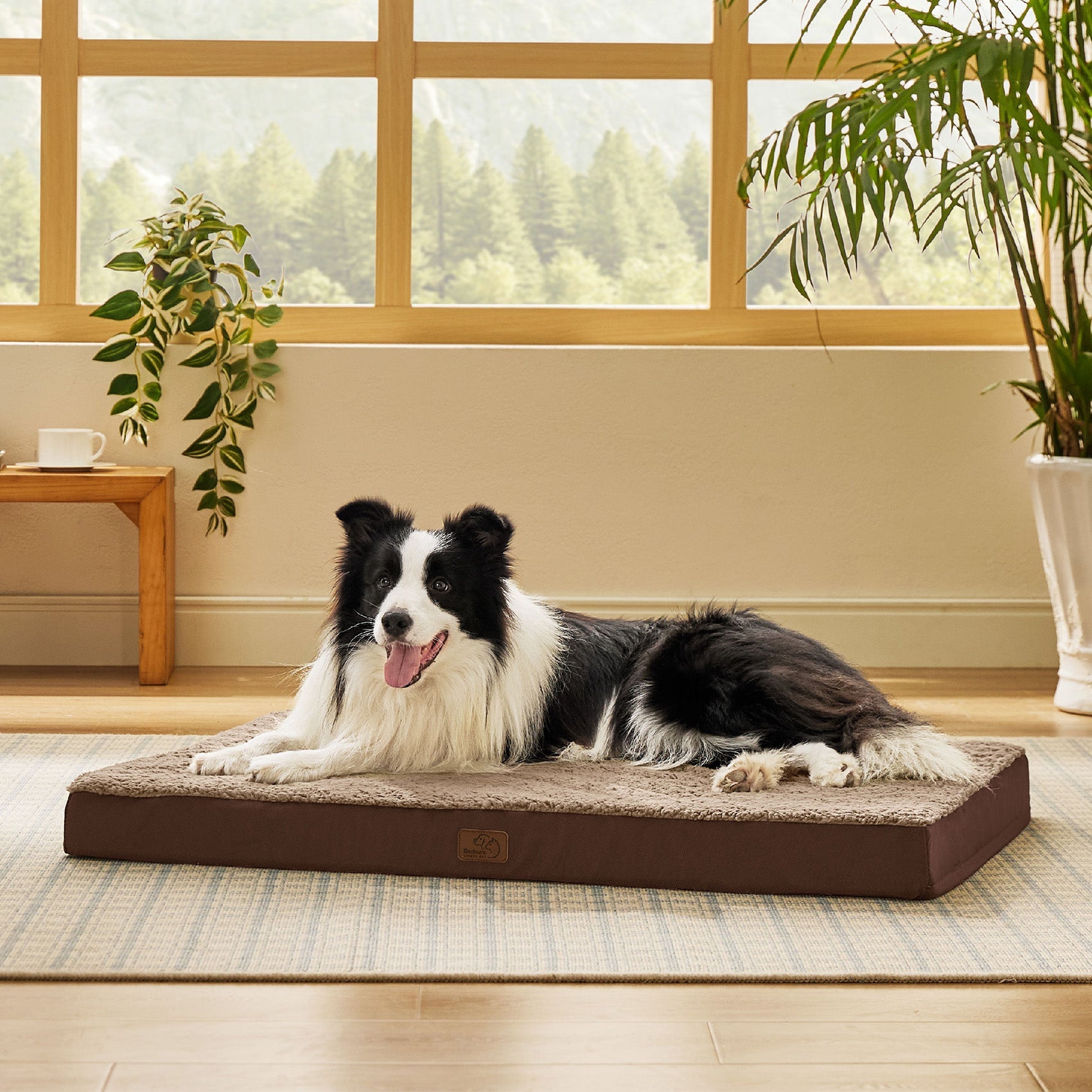 Large Orthopedic Washable Dog Bed