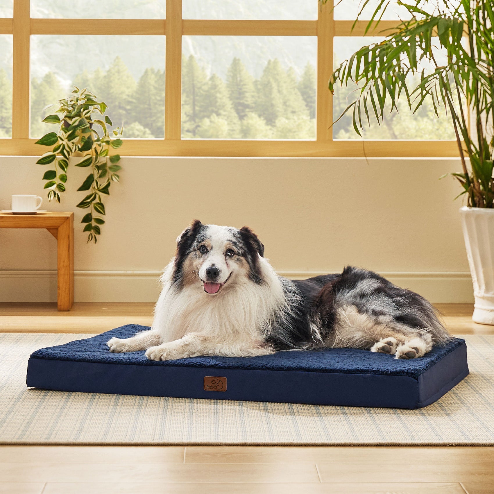 Large Orthopedic Washable Dog Bed