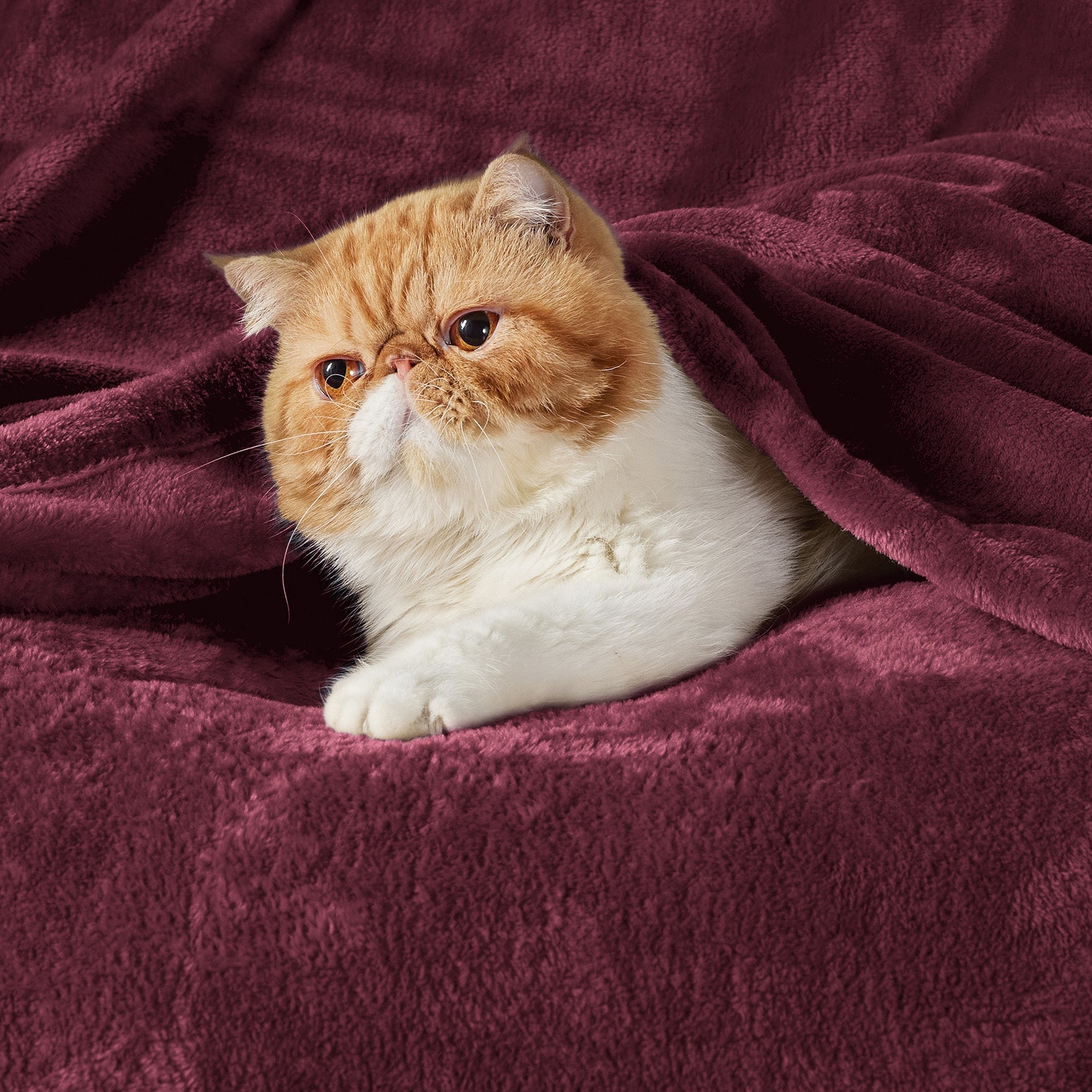 Flannel Fleece Blanket 280gsm