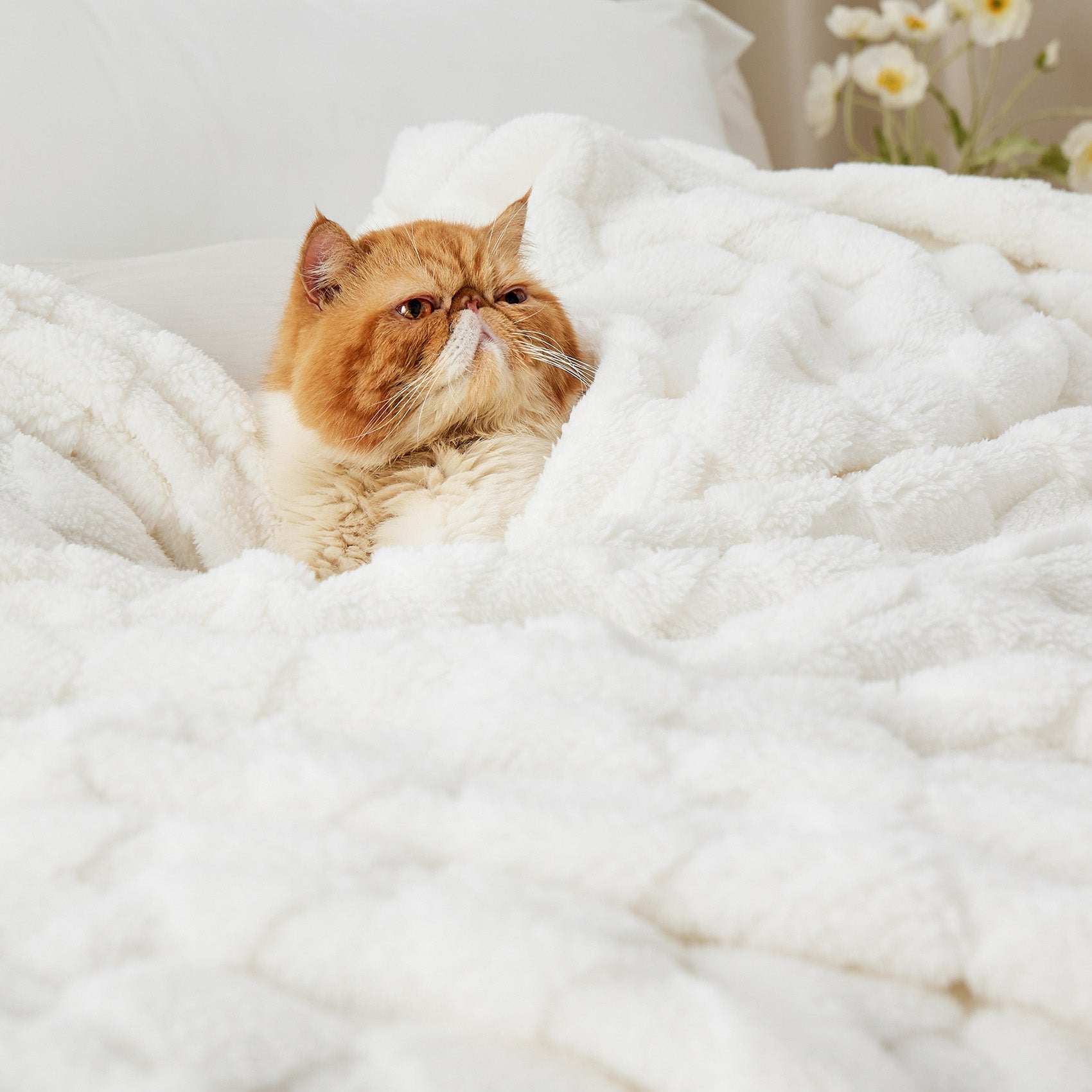 Jacquard Shaggy Sherpa Blanket