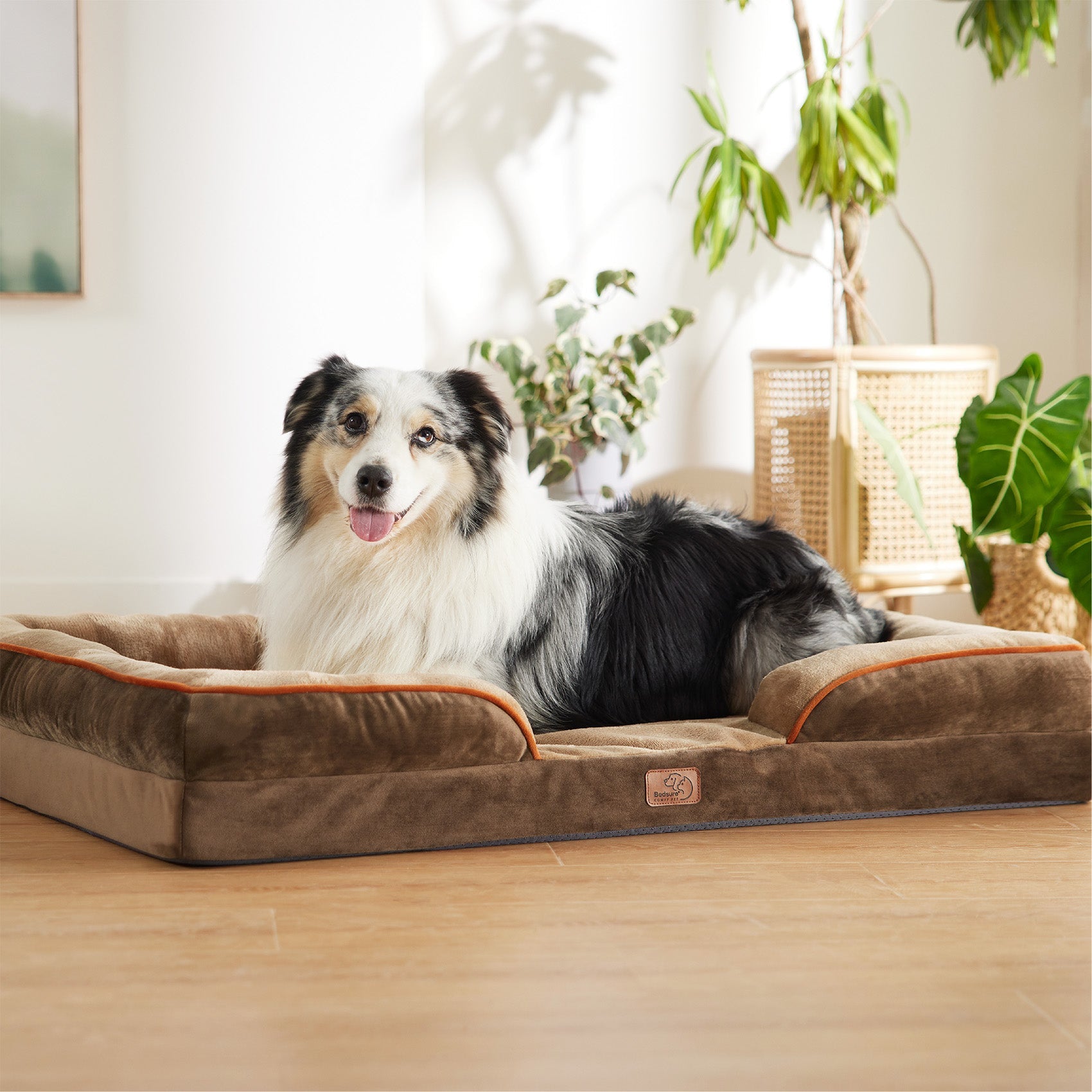 Orthopedic Pet Sofa