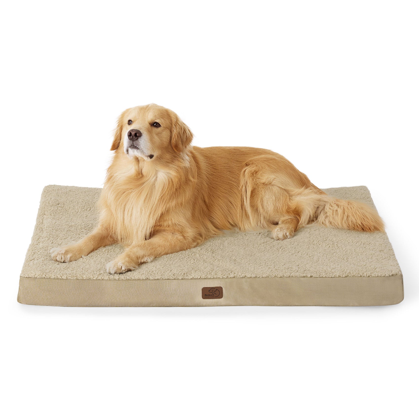 Large Orthopedic Washable Dog Bed