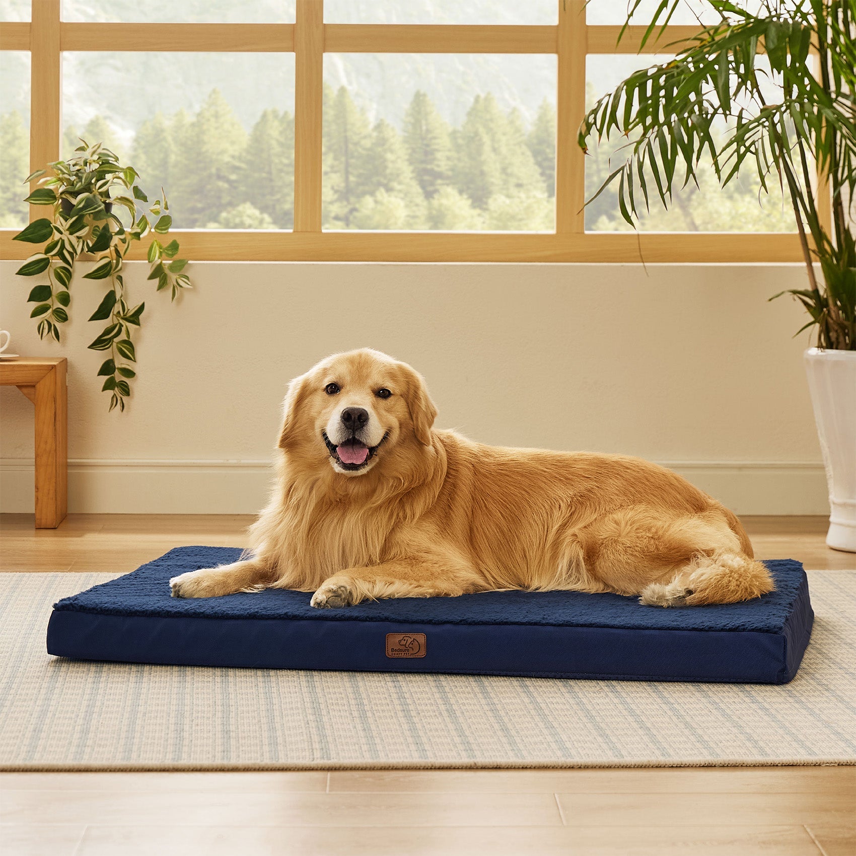 Large Orthopedic Washable Dog Bed