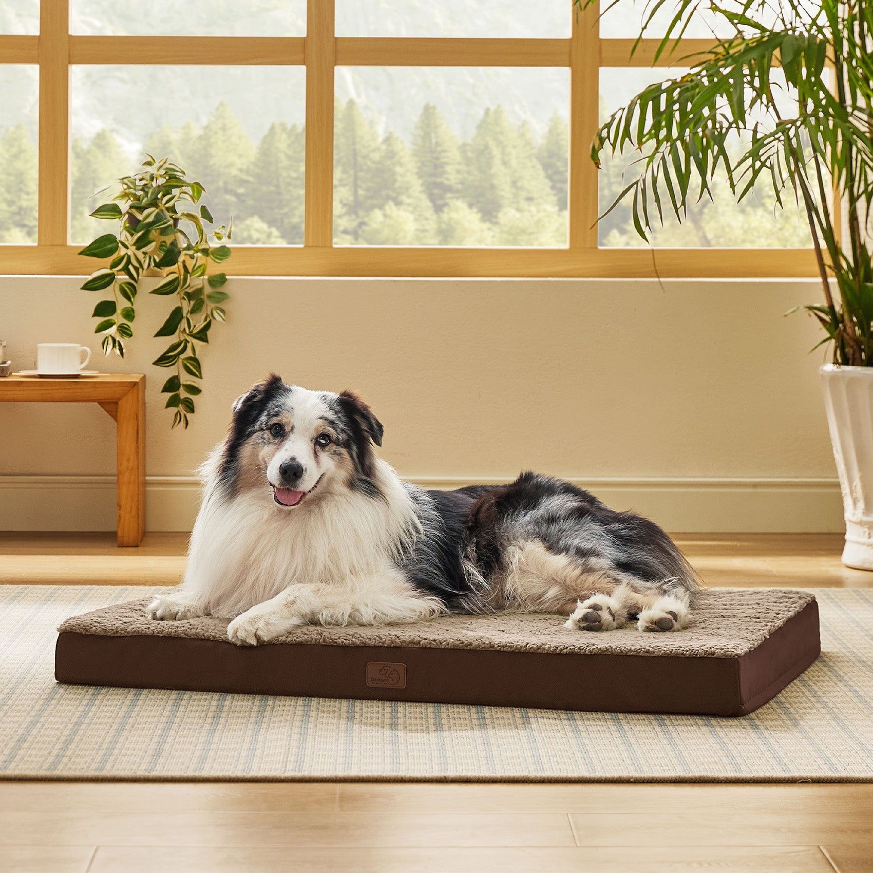 Large Orthopedic Washable Dog Bed