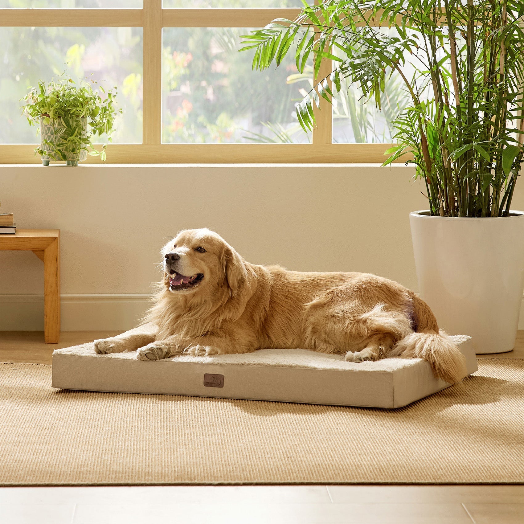 Large Orthopedic Washable Dog Bed