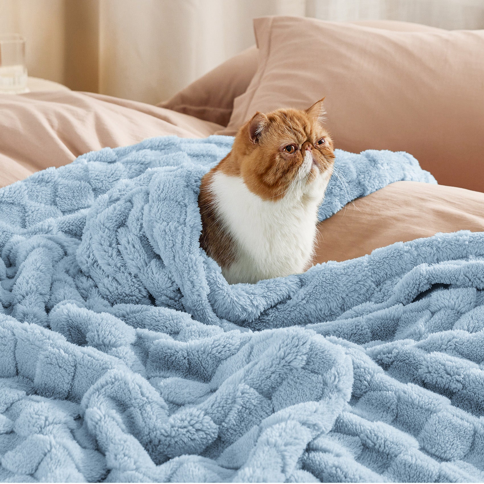 Jacquard Shaggy Sherpa Blanket