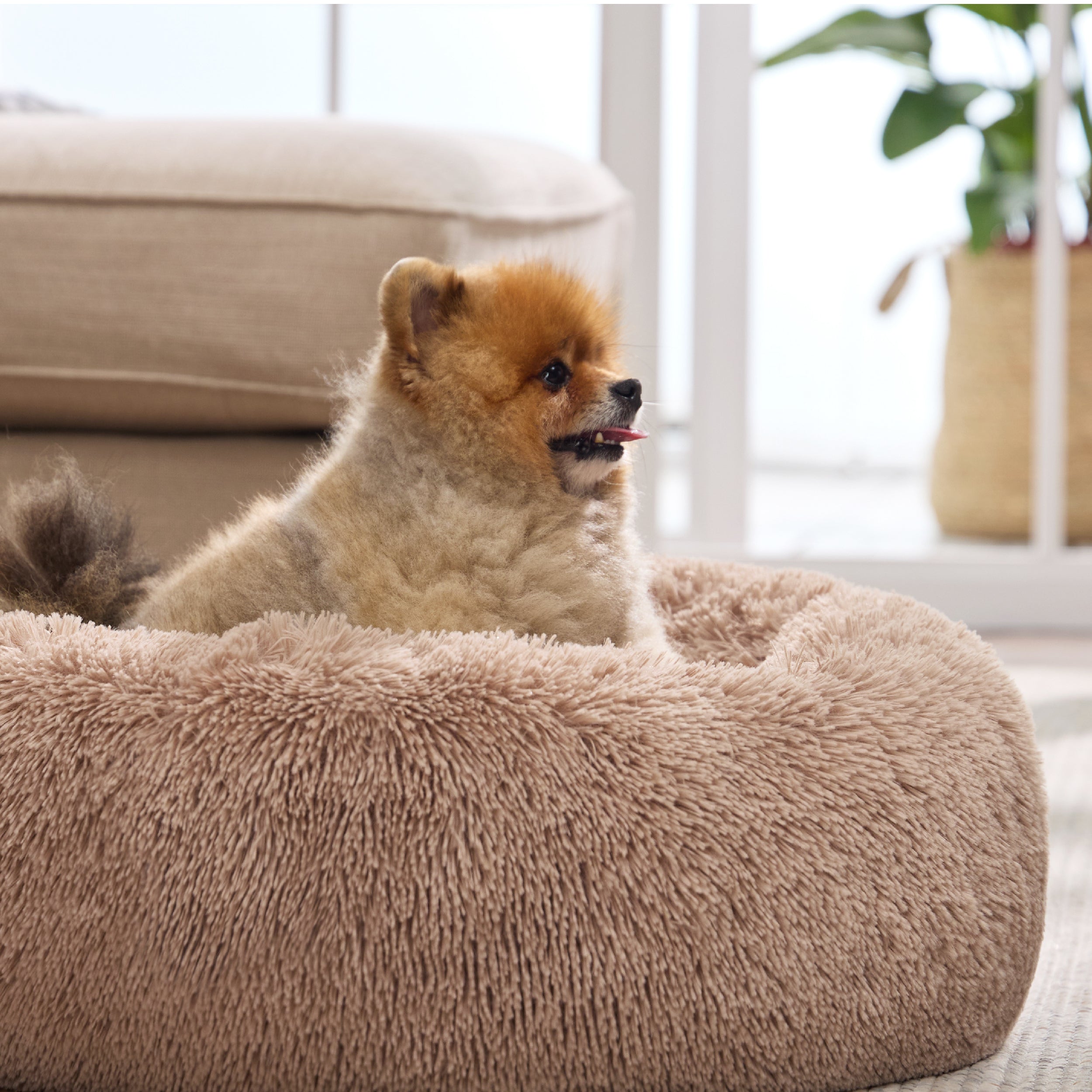 Calming Donut Bed for Dogs and Cats