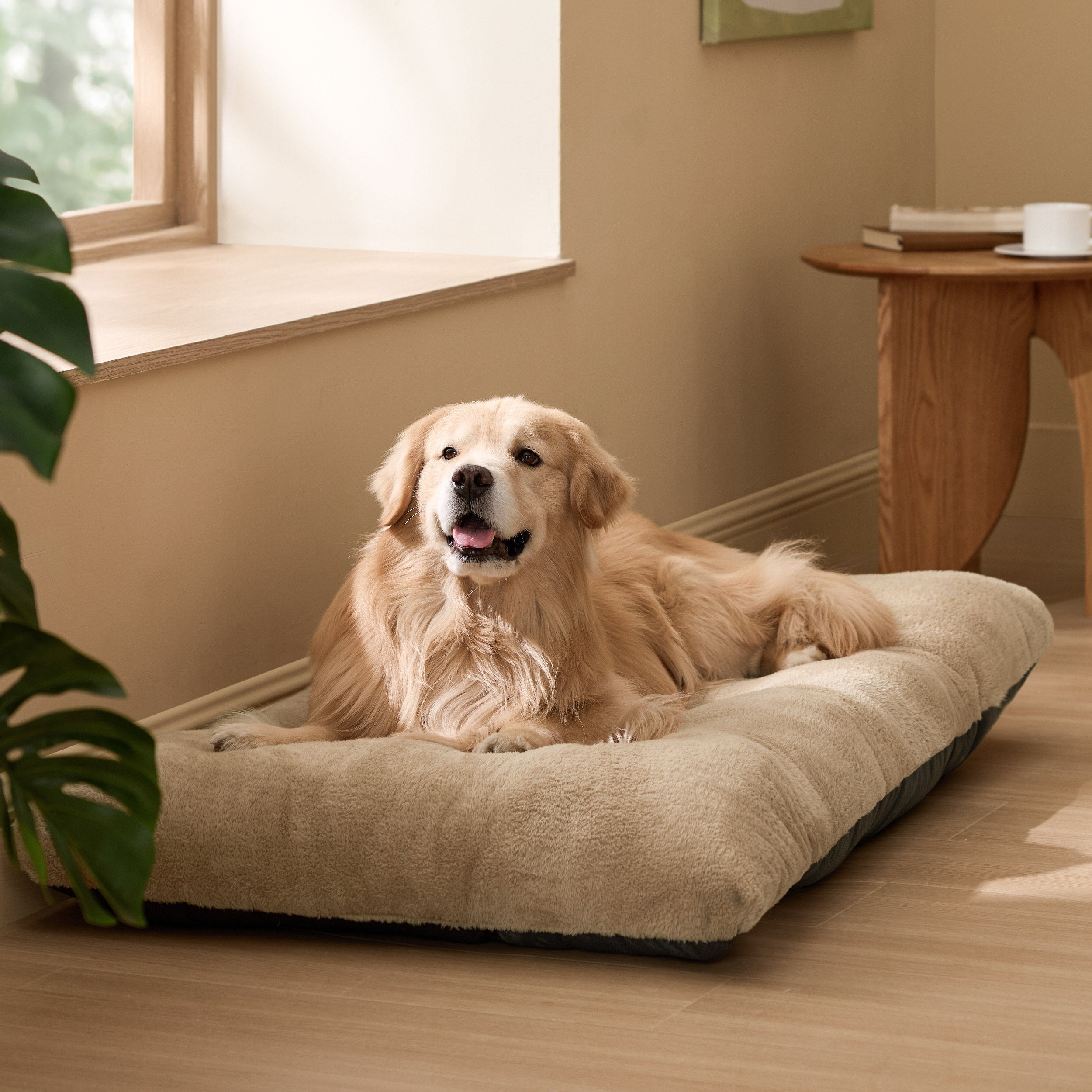 Fluffy Dog Mat
