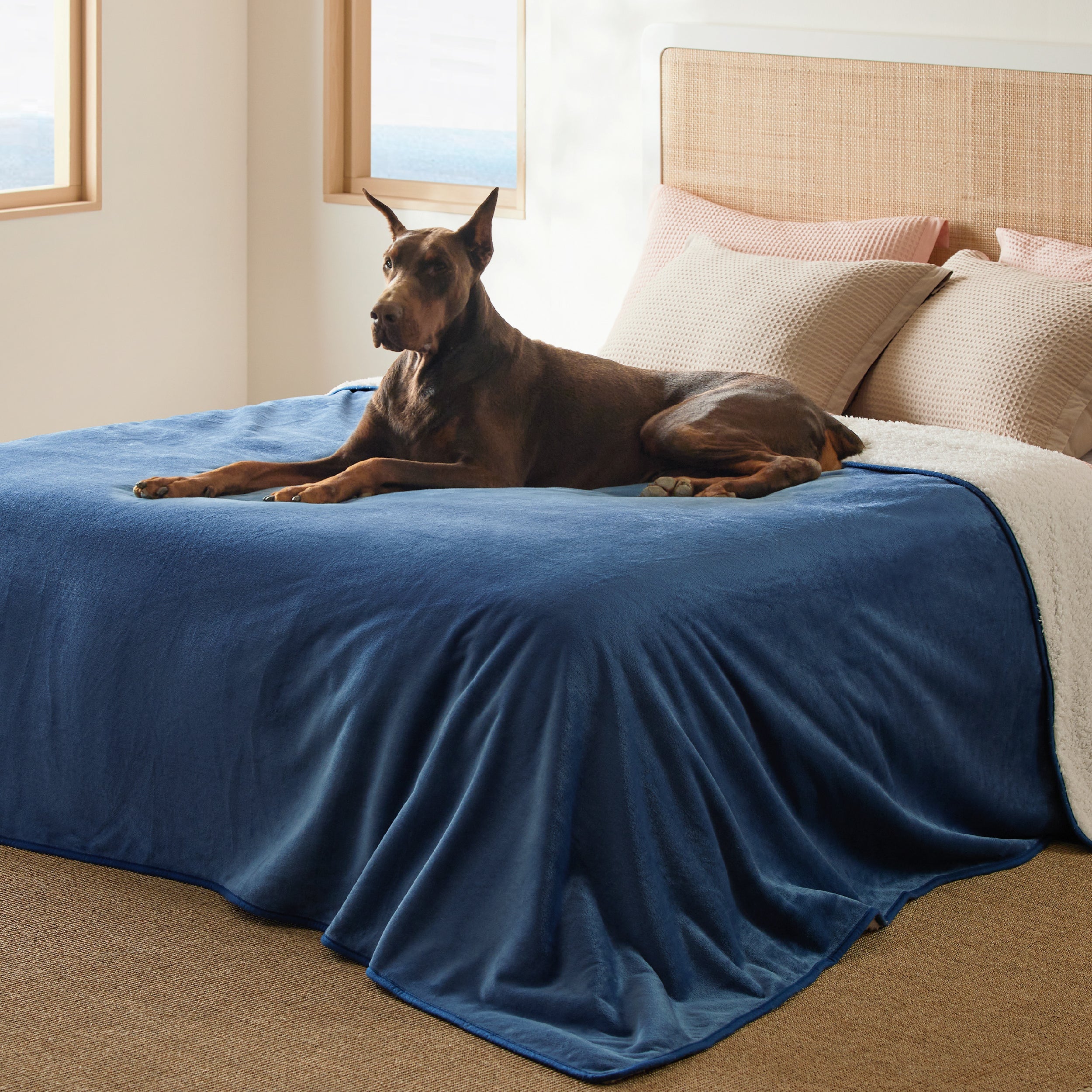 Reversible Sherpa and Microfiber Fleece Dog Blanket