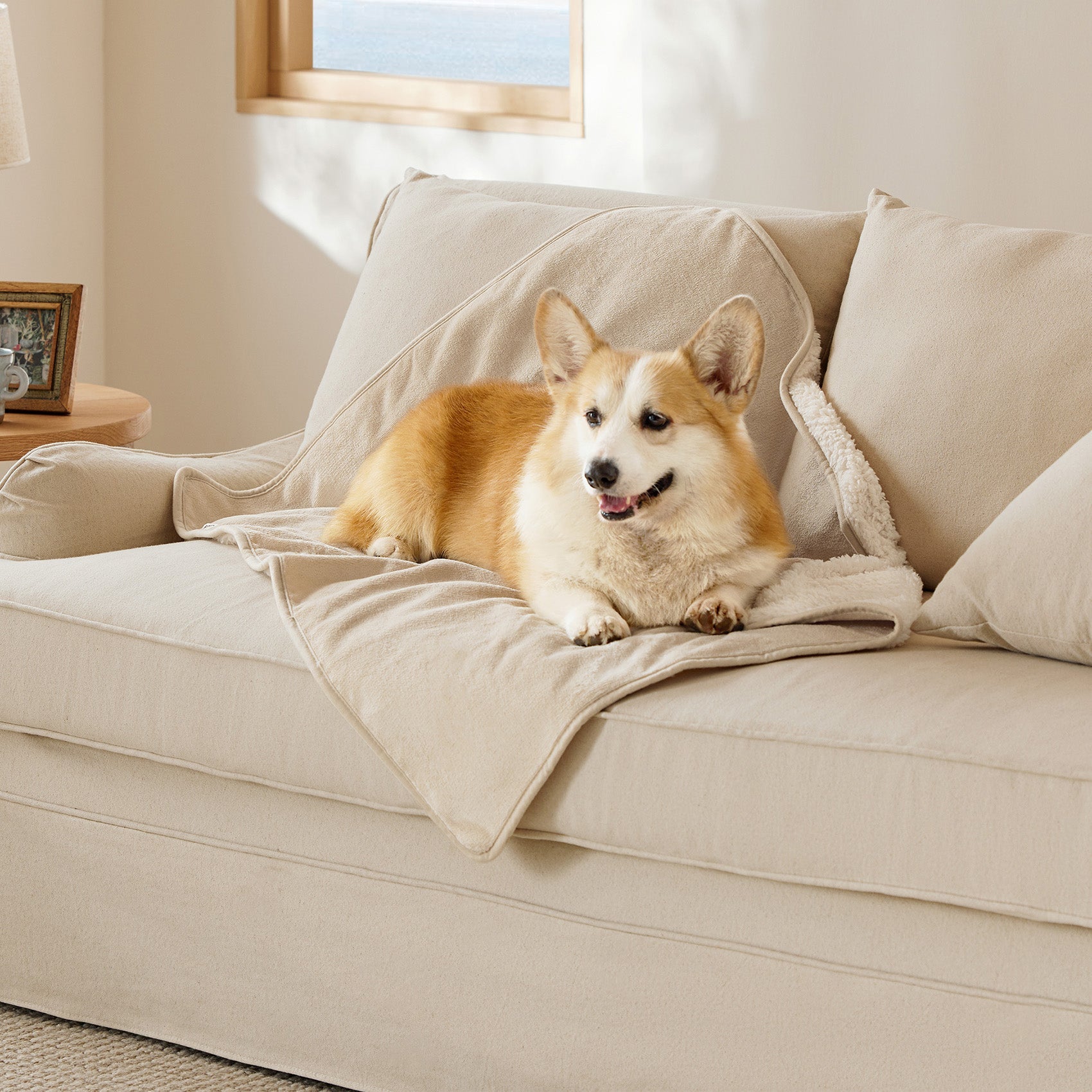 Corgi dog resting on a beige reversible Sherpa and microfiber fleece dog blanket on a cream sofa.