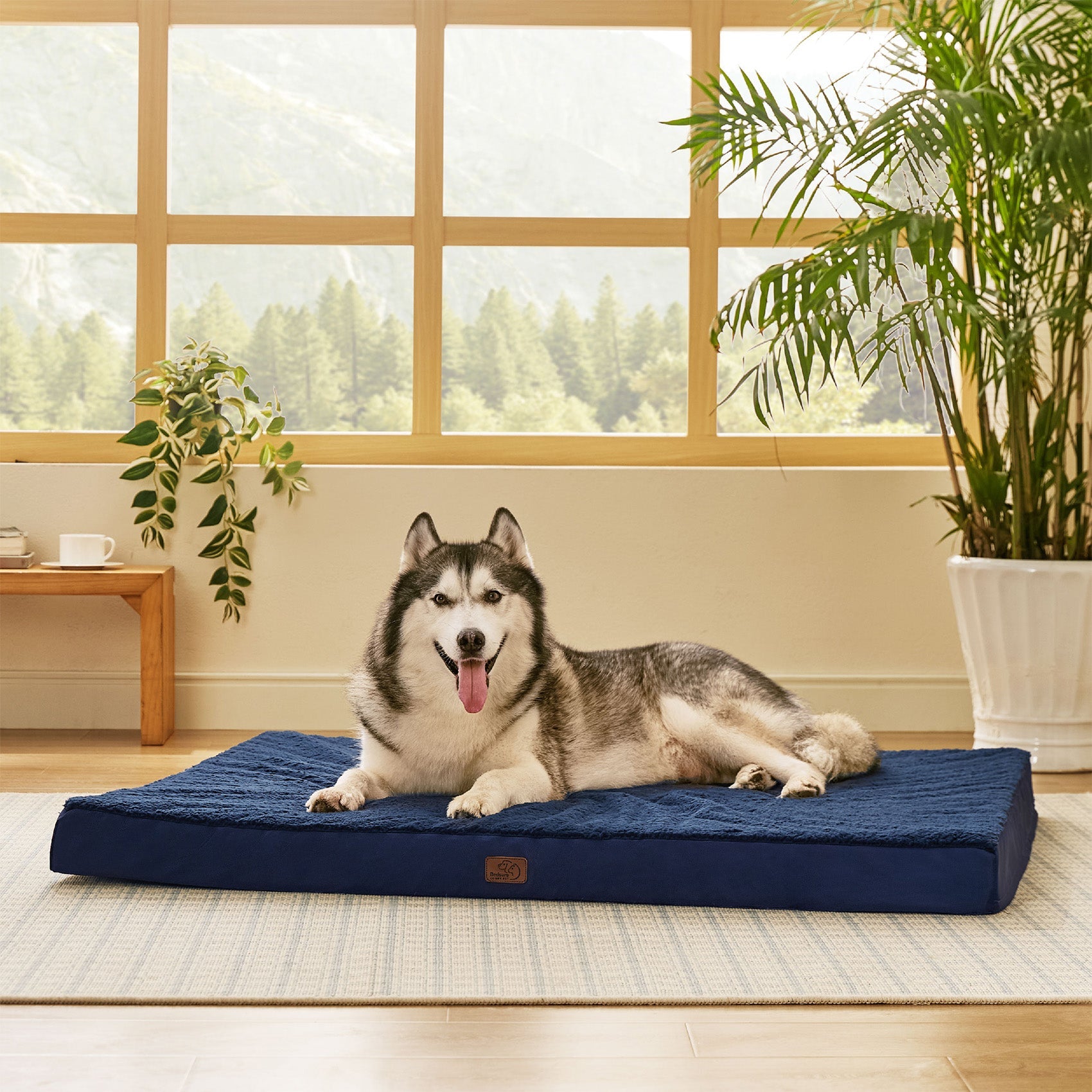 Large Orthopedic Washable Dog Bed