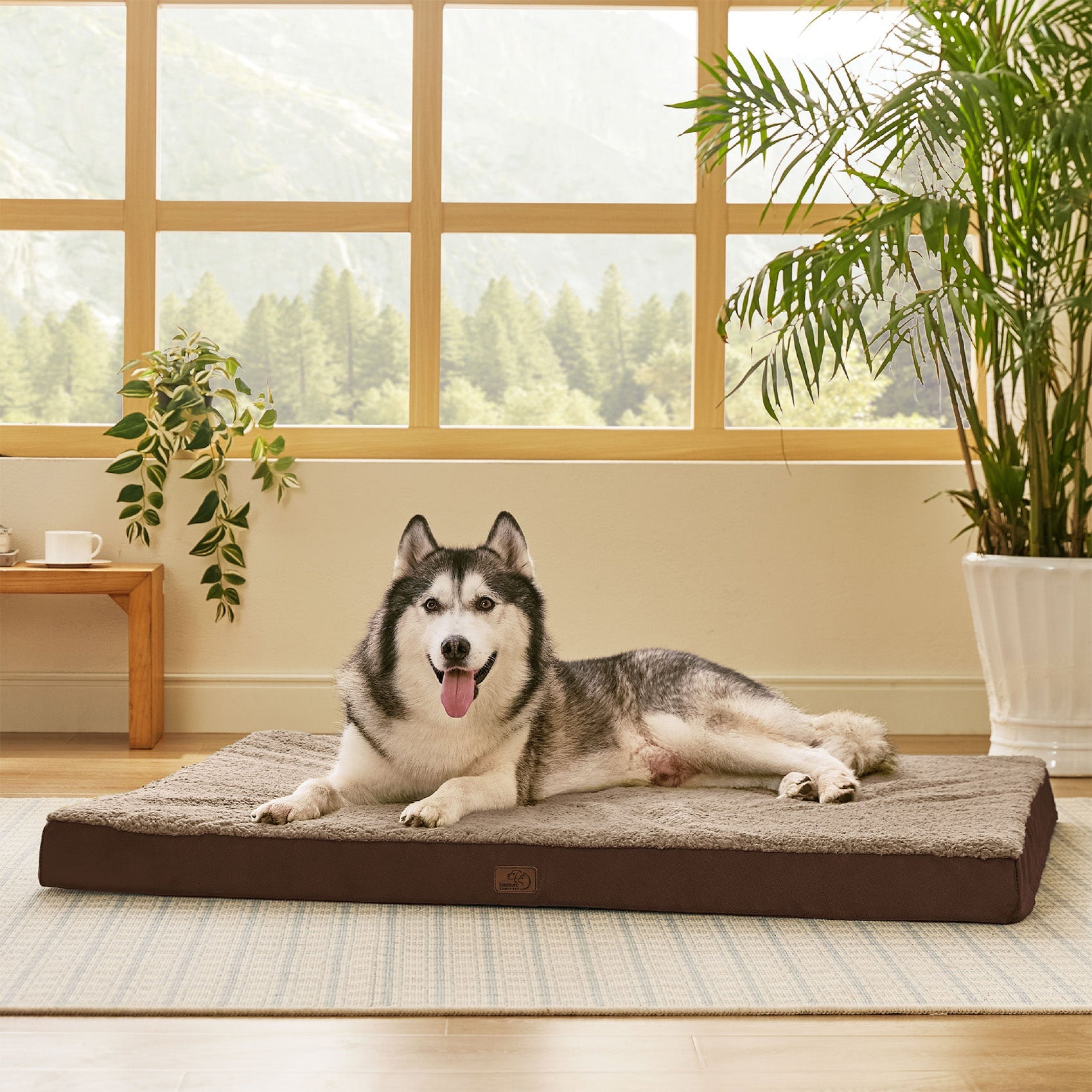 Large Orthopedic Washable Dog Bed