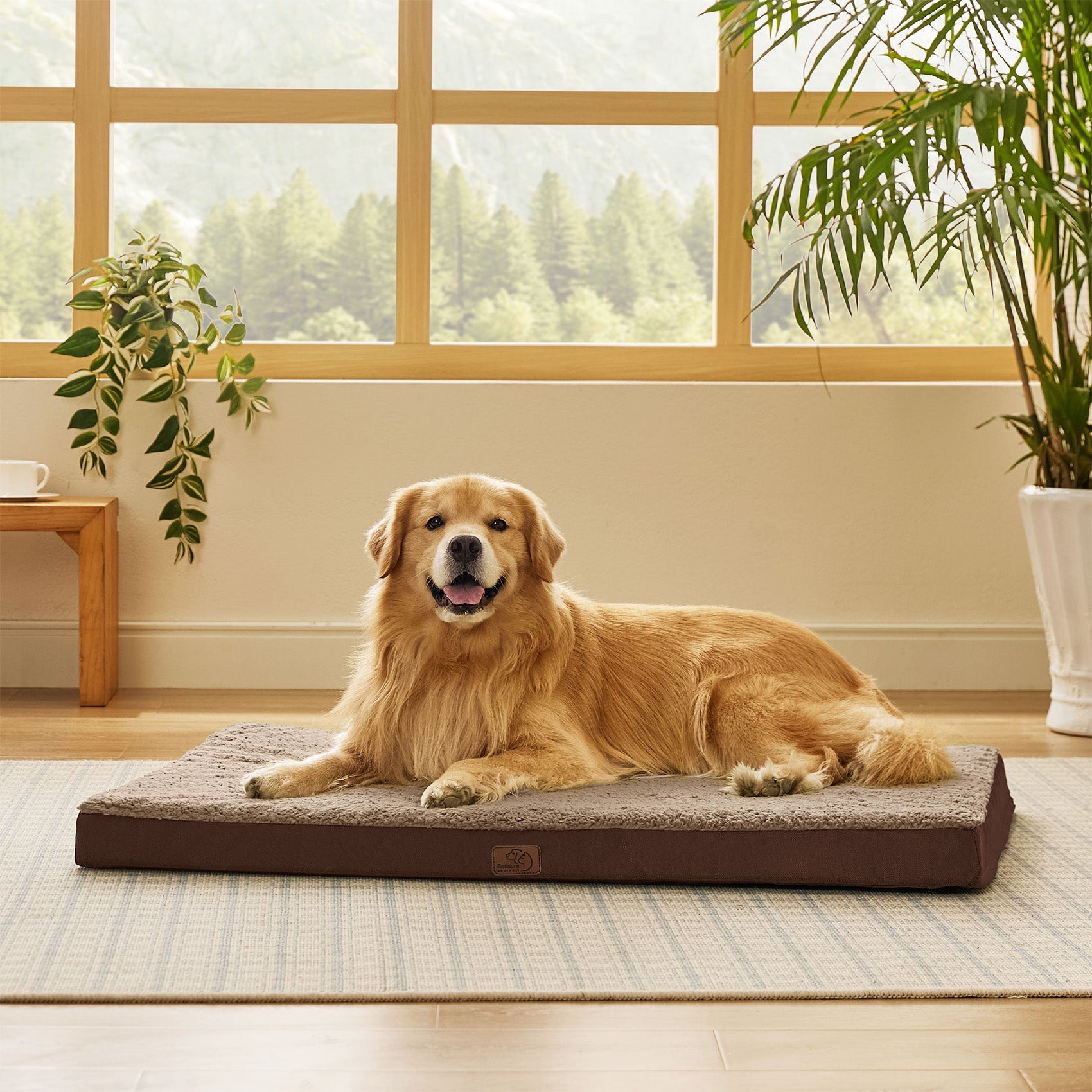 Large Orthopedic Washable Dog Bed