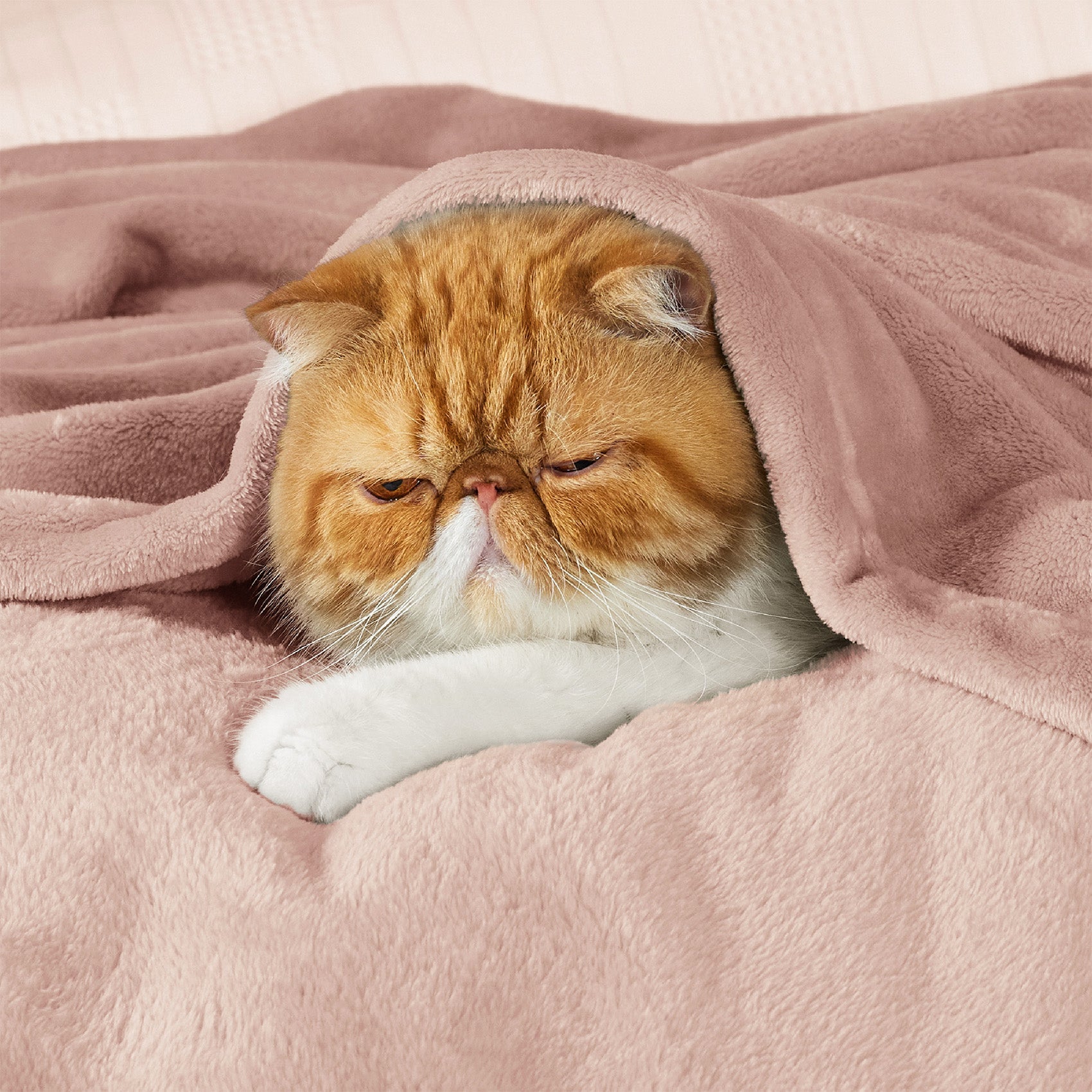 Flannel Fleece Blanket 280gsm