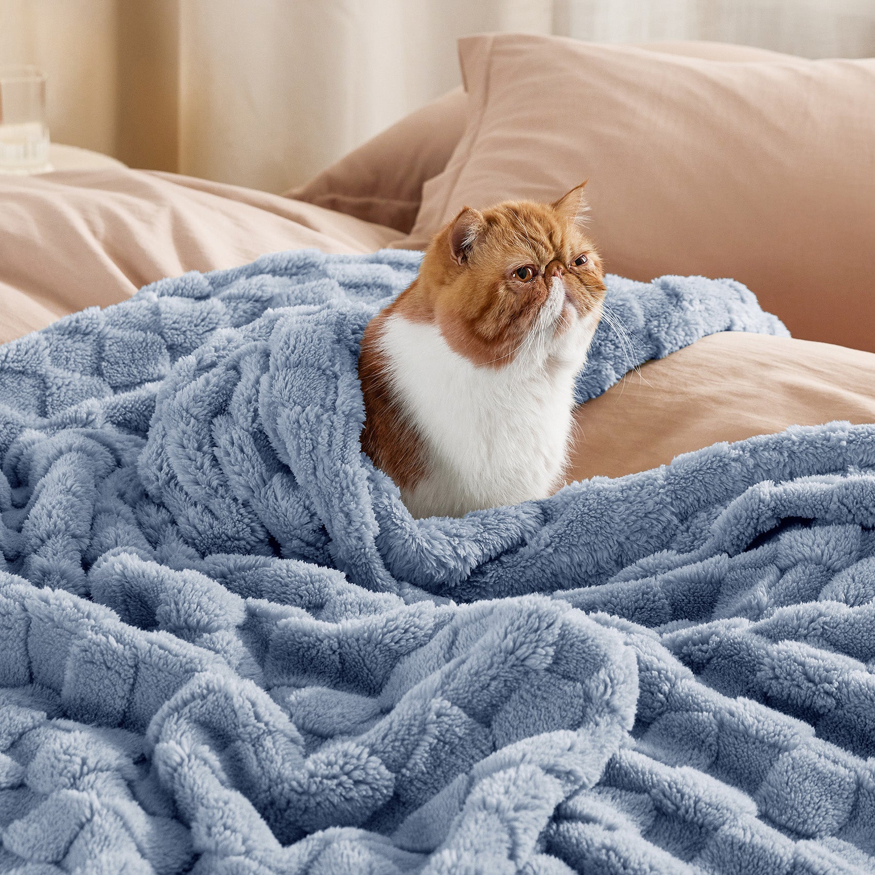 Jacquard Shaggy Sherpa Blanket