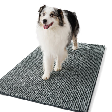 Dog Doormat For Muddy Paws