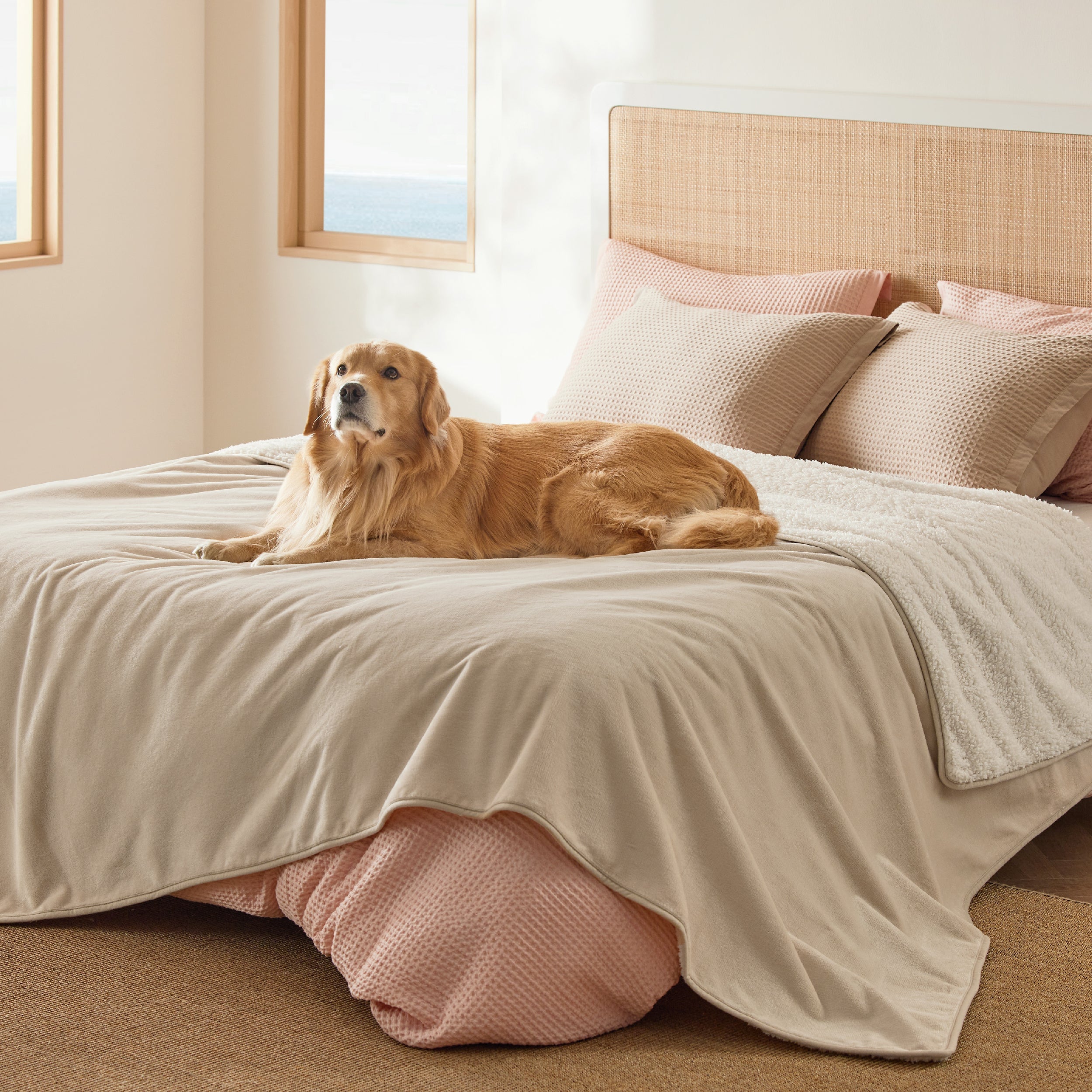 Reversible Sherpa and Microfiber Fleece Dog Blanket