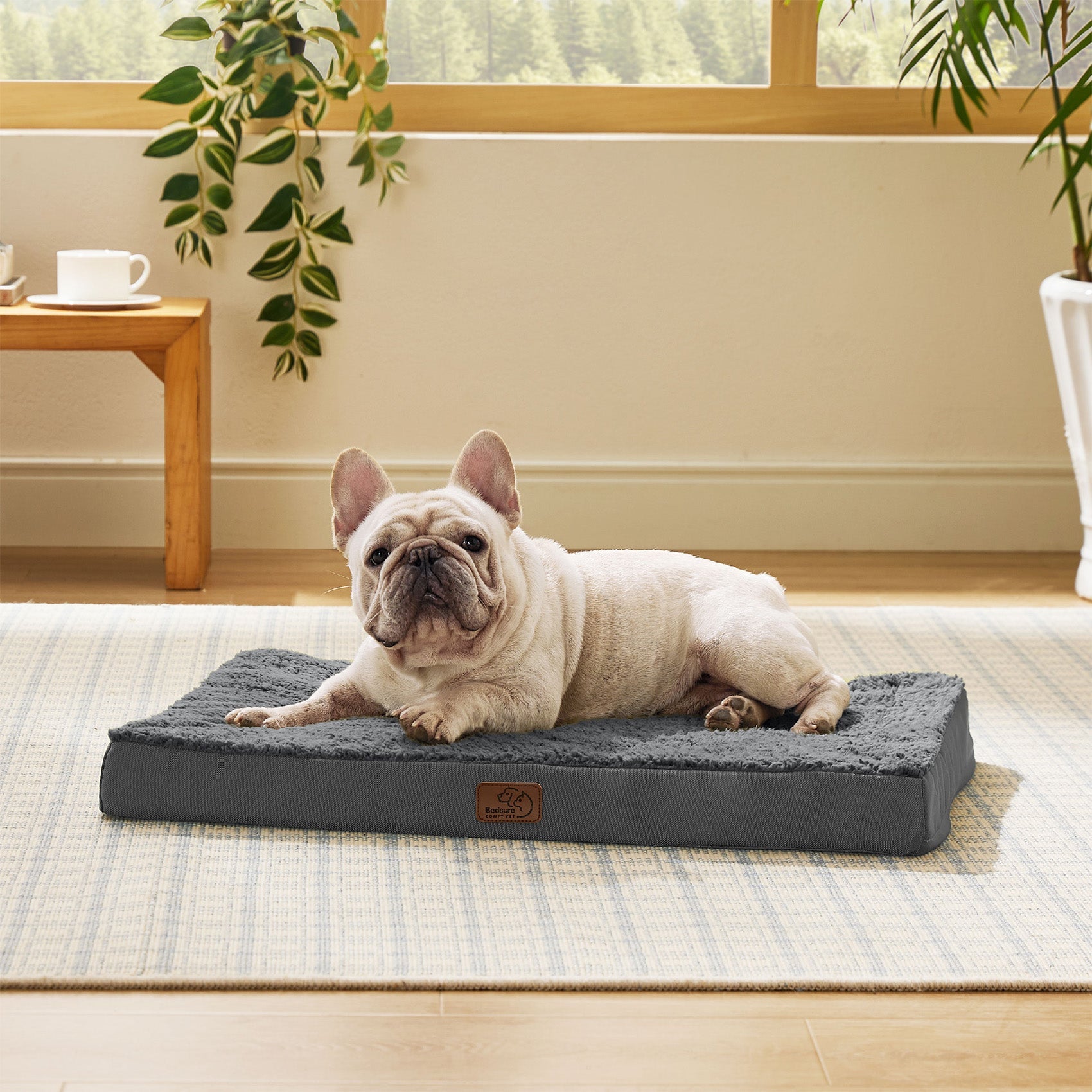 Large Orthopedic Washable Dog Bed