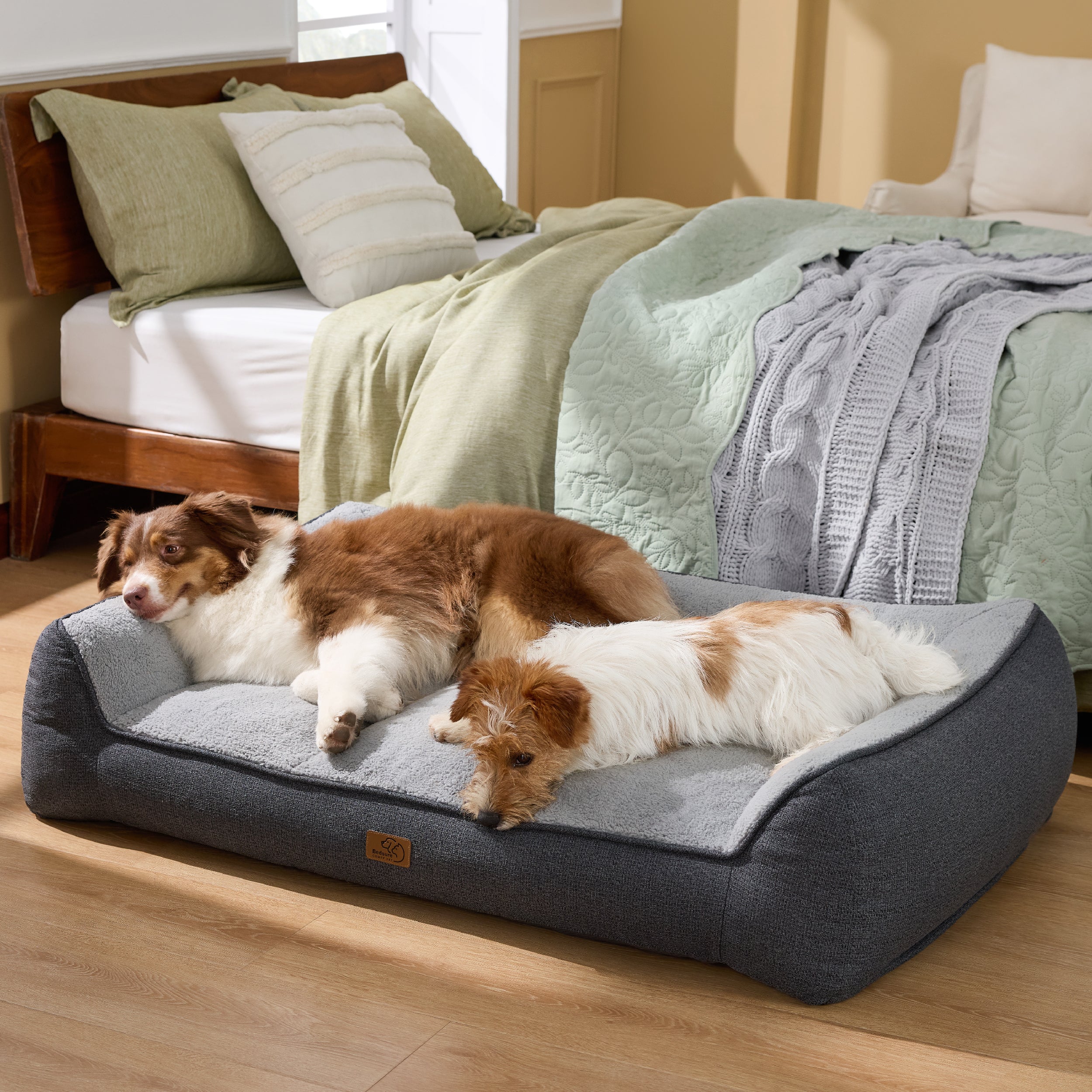 Supportive Dog Couch