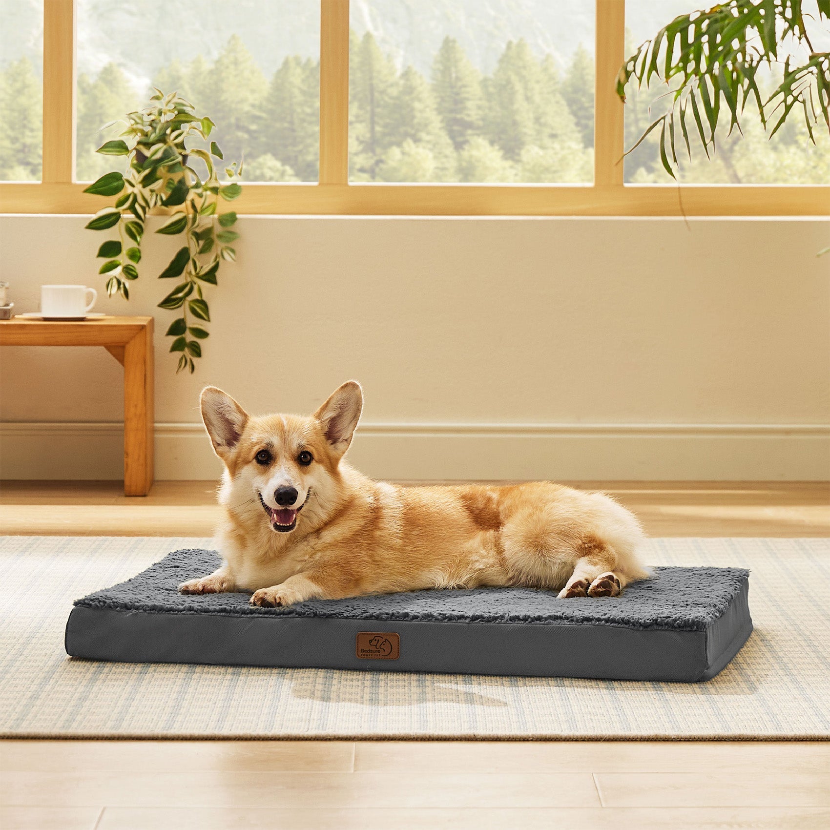 Large Orthopedic Washable Dog Bed