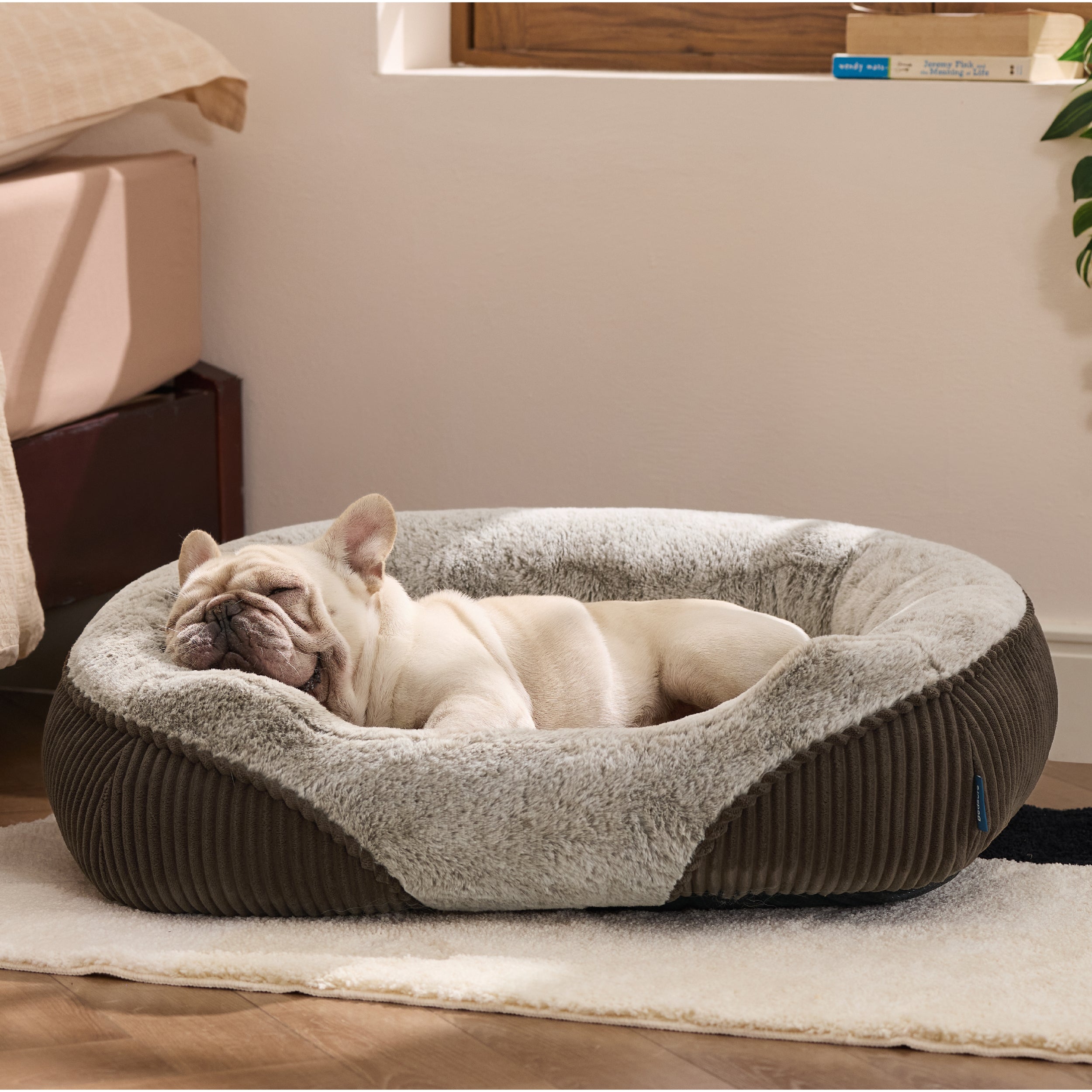 Rectangle Pet Bed