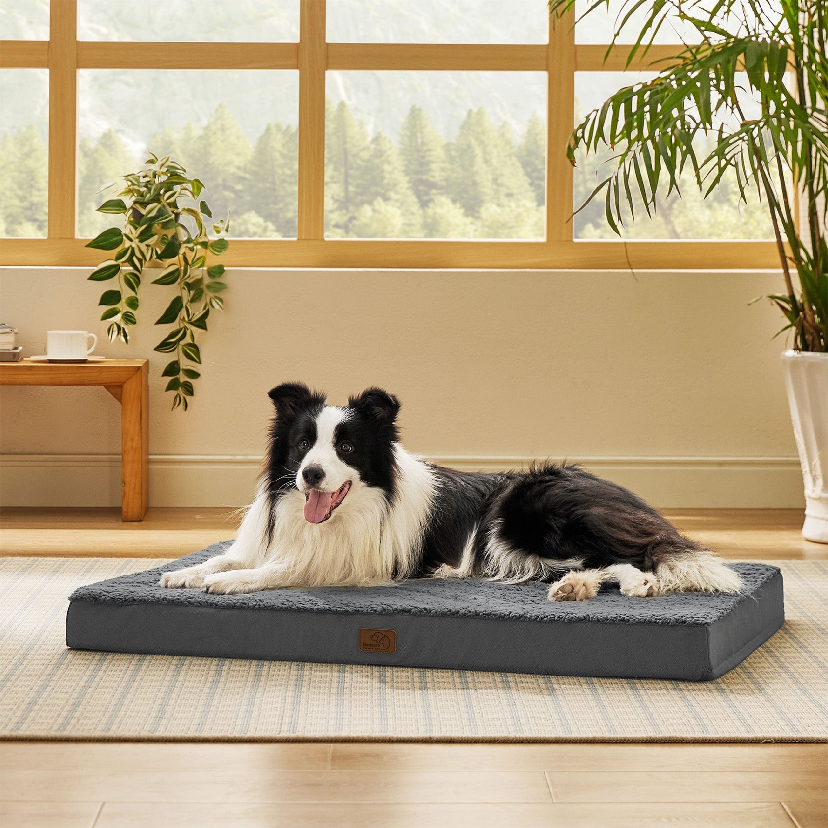 Large Orthopedic Washable Dog Bed