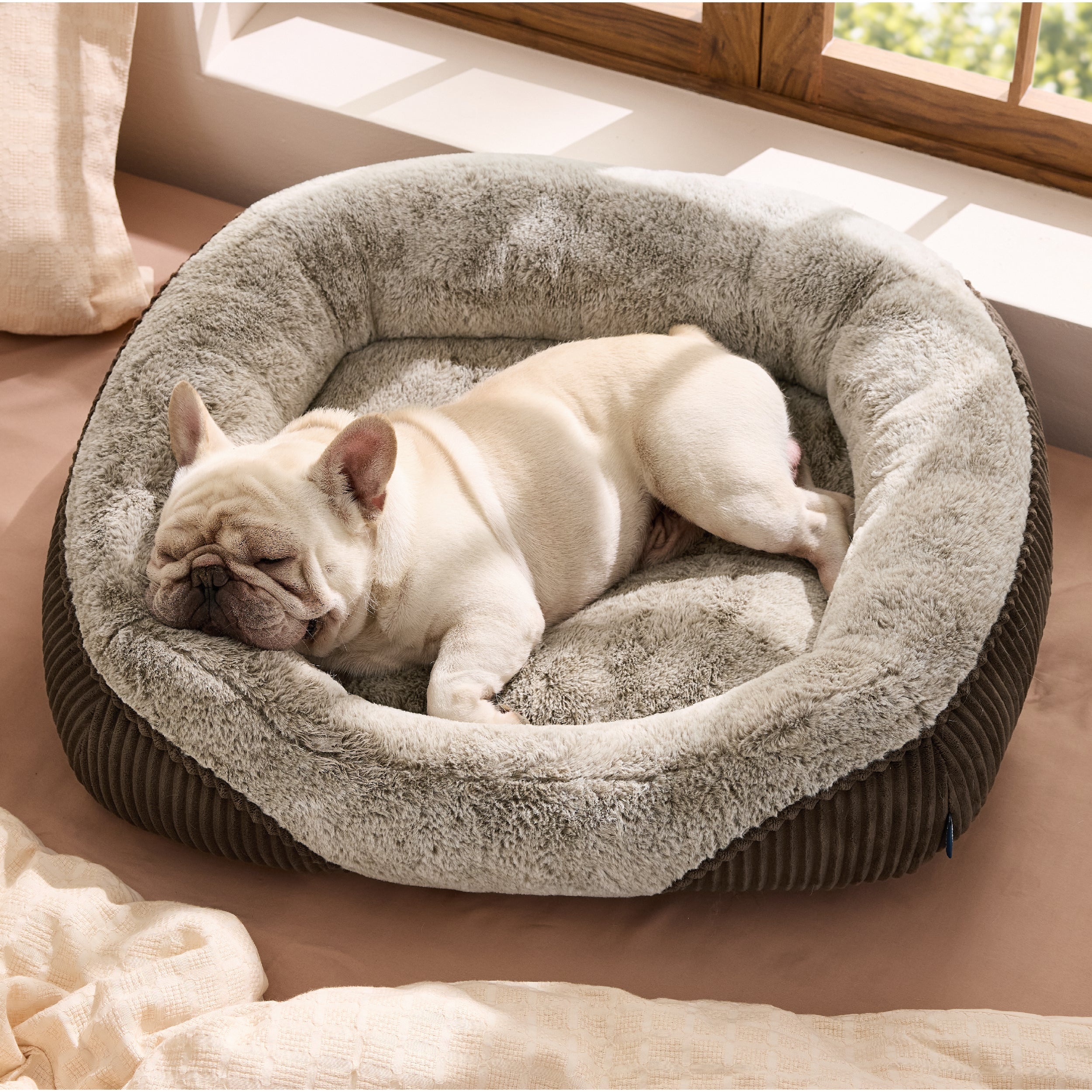 Rectangle Pet Bed