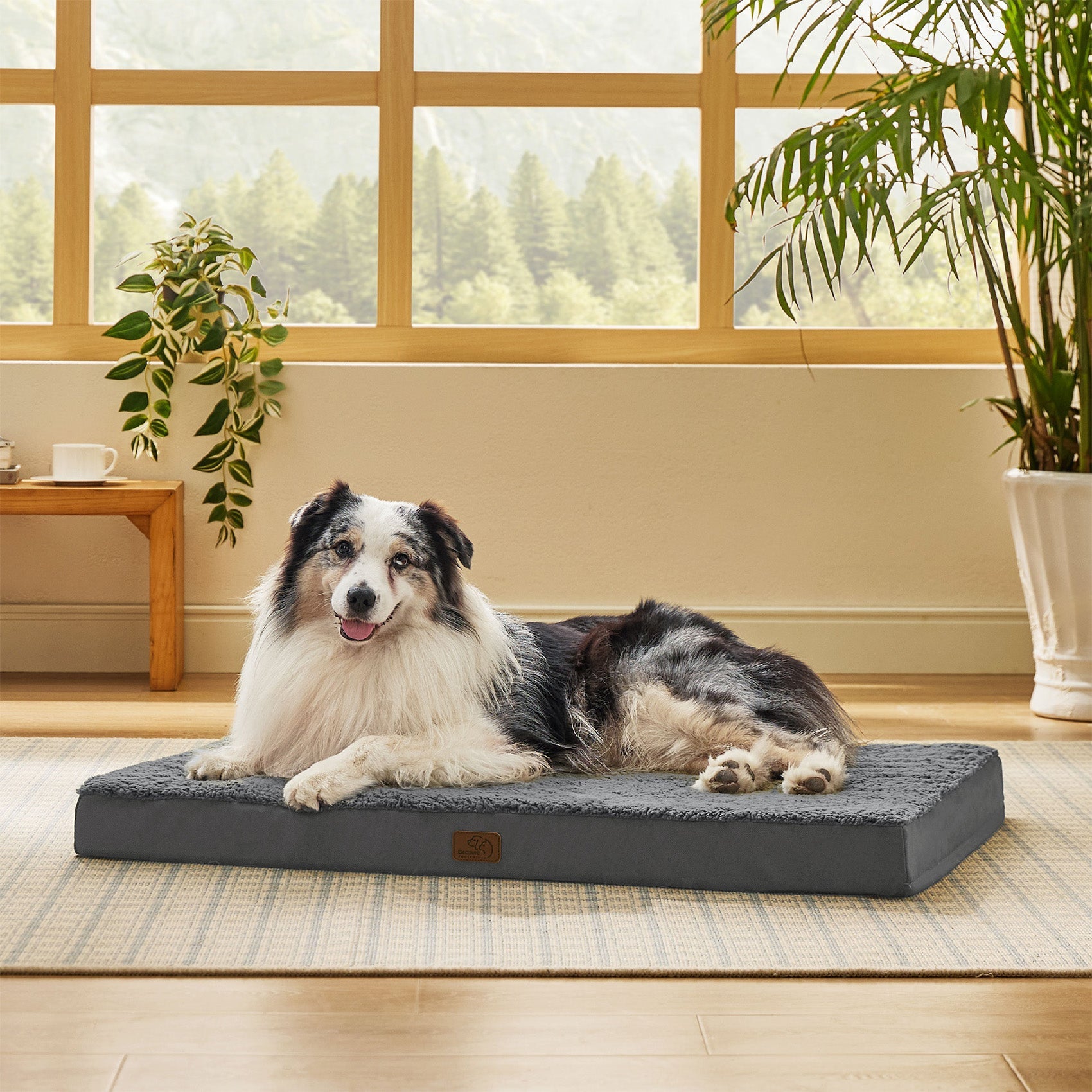 Large Orthopedic Washable Dog Bed