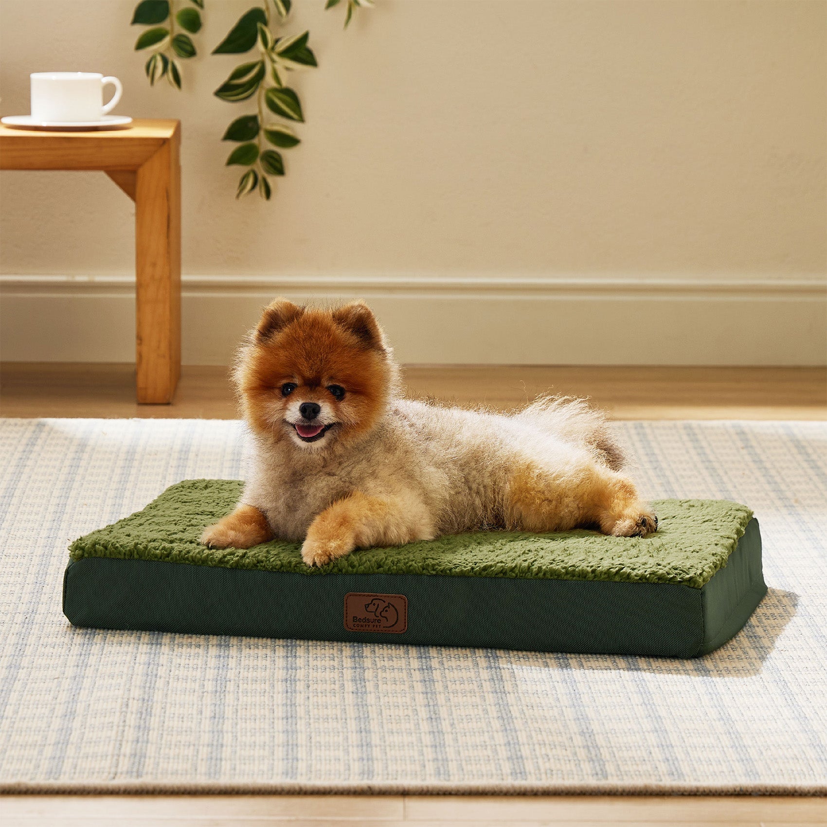 Large Orthopedic Washable Dog Bed
