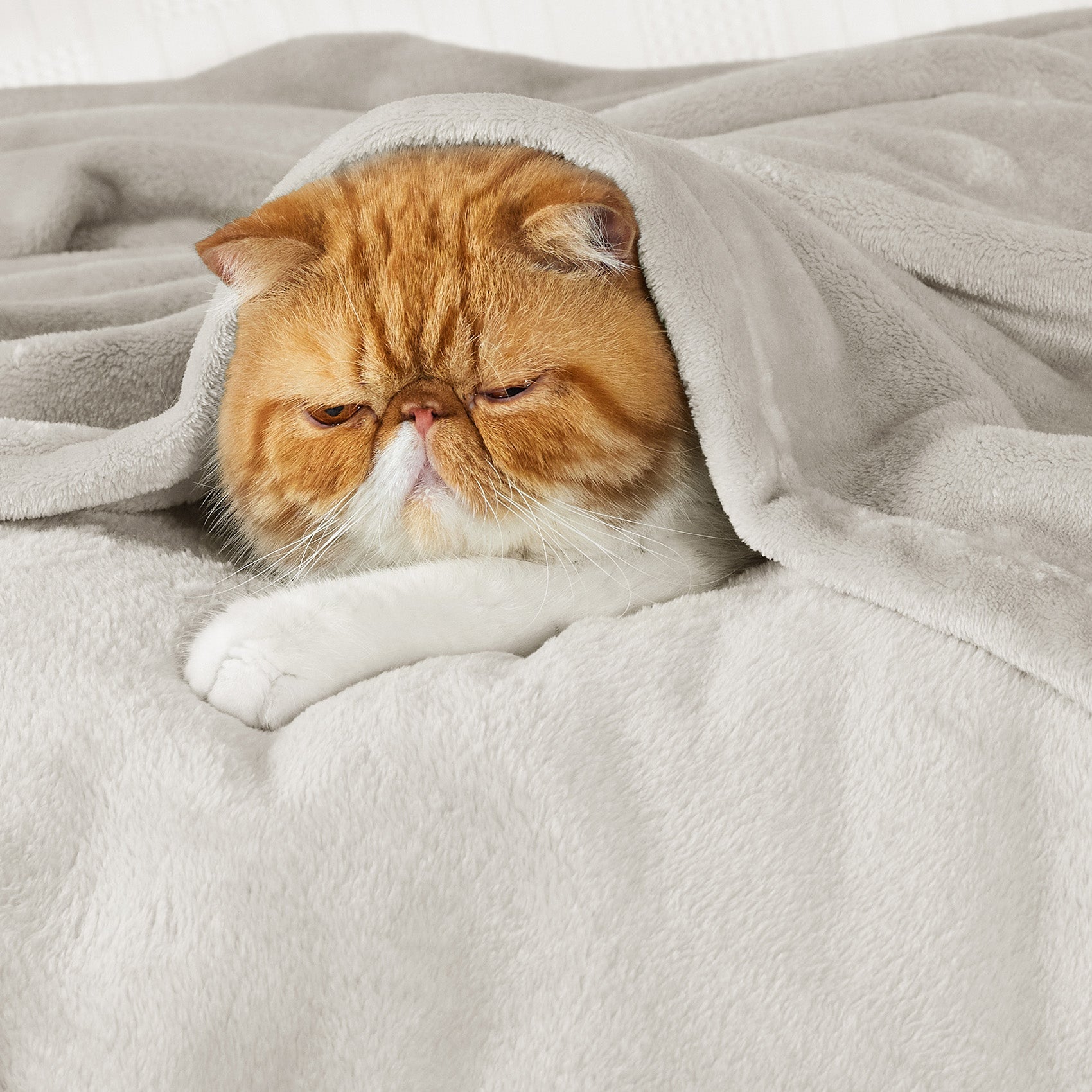 Flannel Fleece Blanket 280gsm