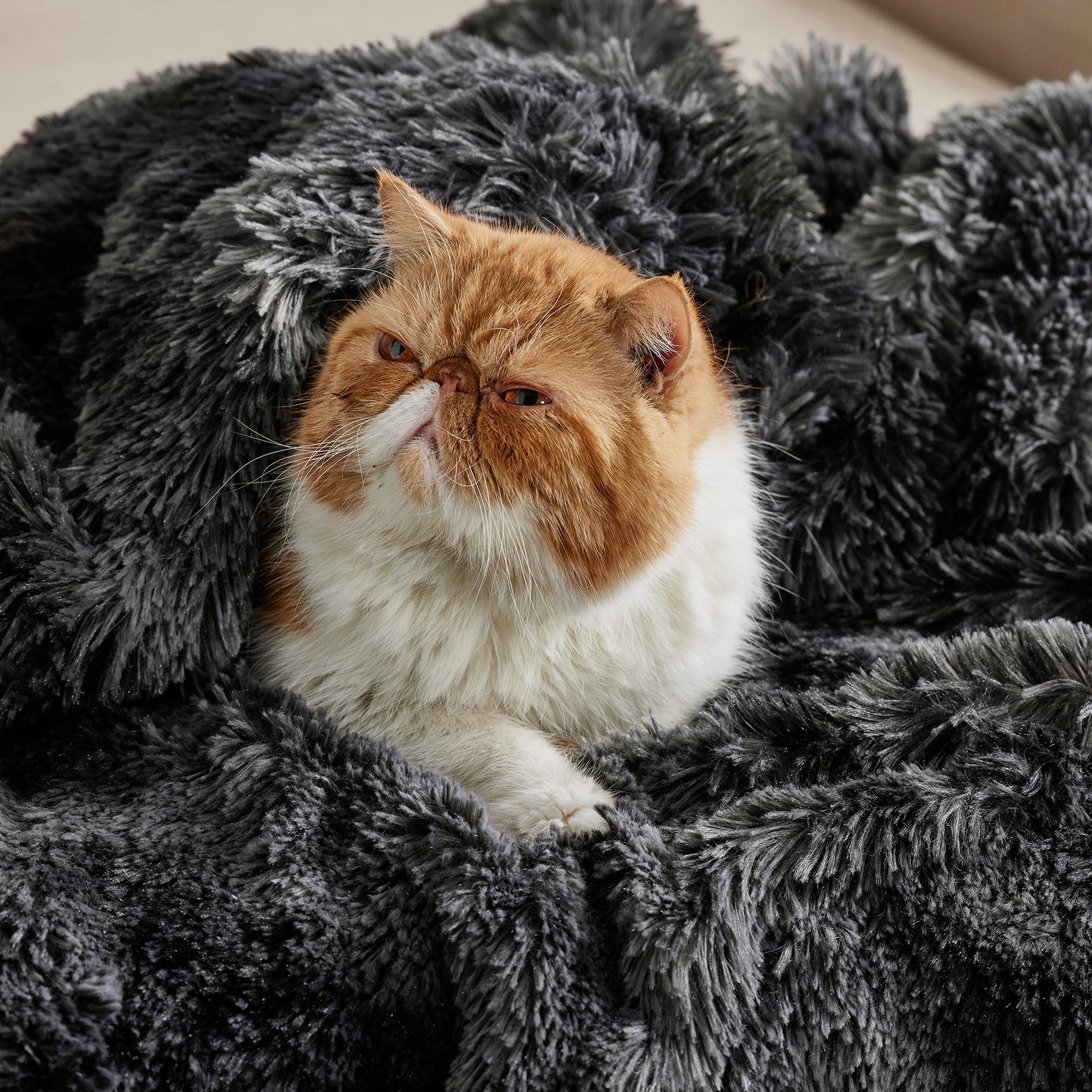 Fuzzy Faux Fur Blanket