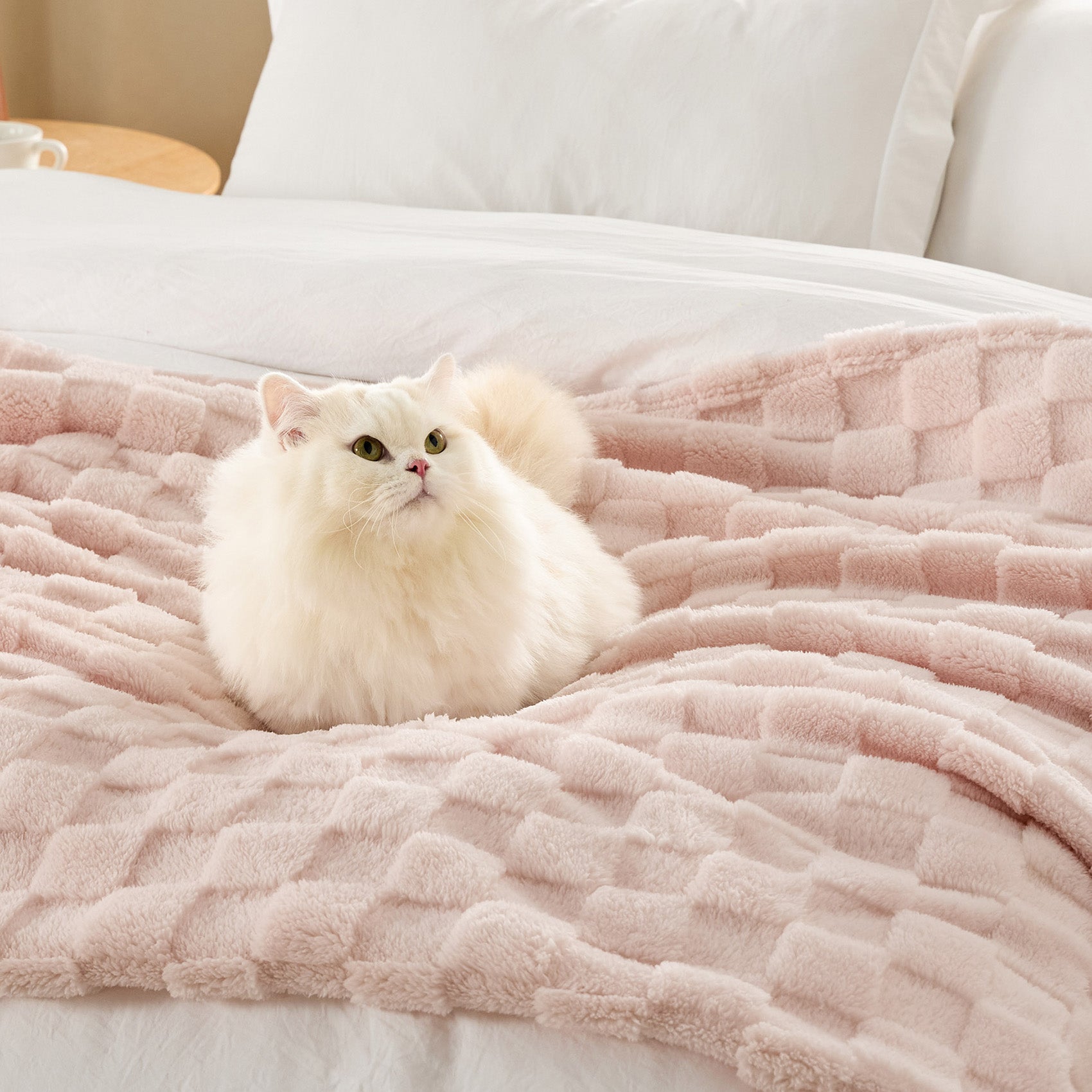 Jacquard Shaggy Sherpa Blanket