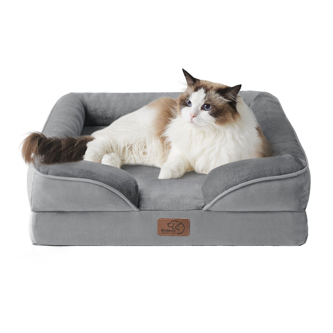 Gray orthopedic dog sofa with plush bolsters and low entrance, featuring a fluffy cat relaxing on the comfortable surface.