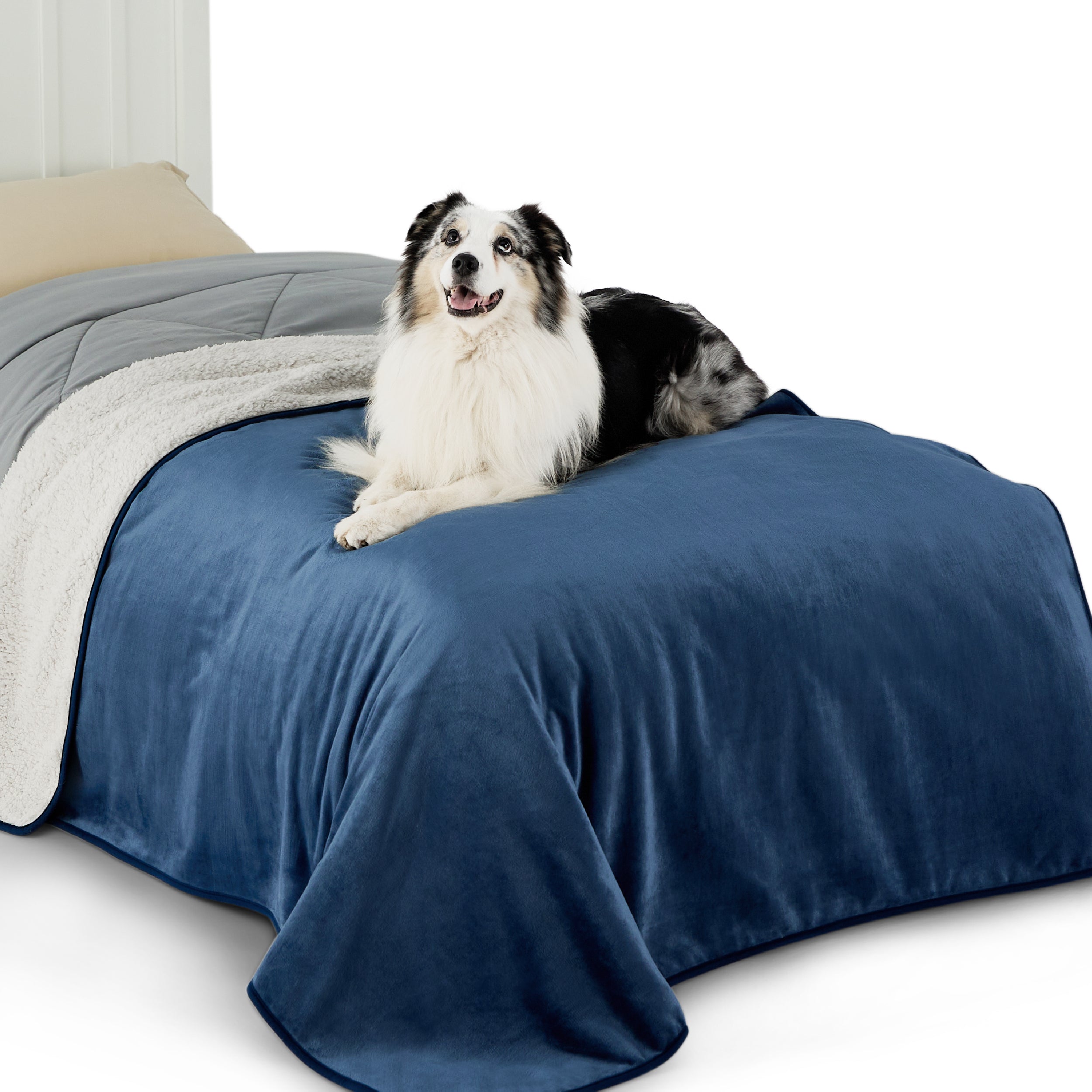 Reversible Sherpa and Microfiber Fleece Dog Blanket