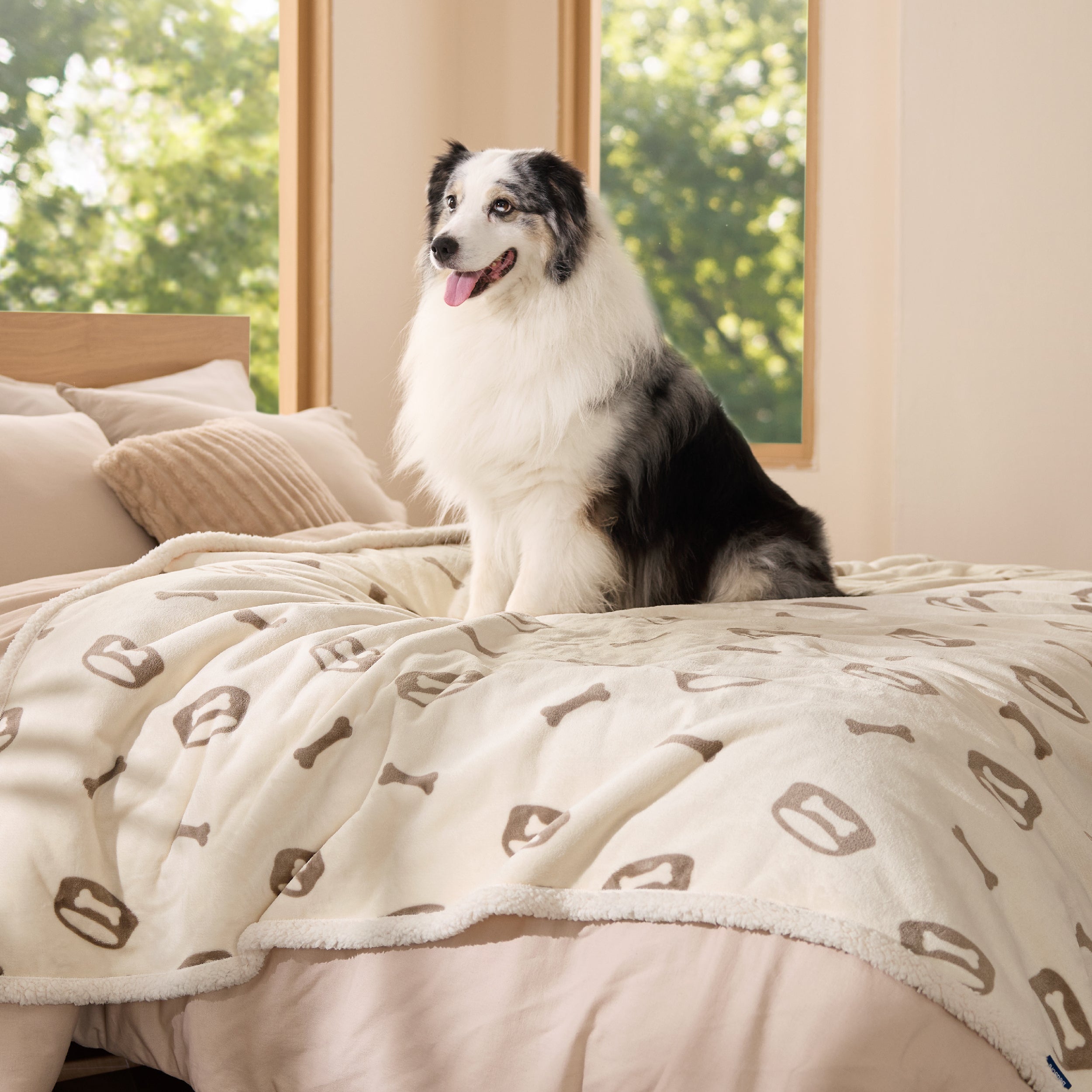 Reversible Waterproof Sherapa Blanket