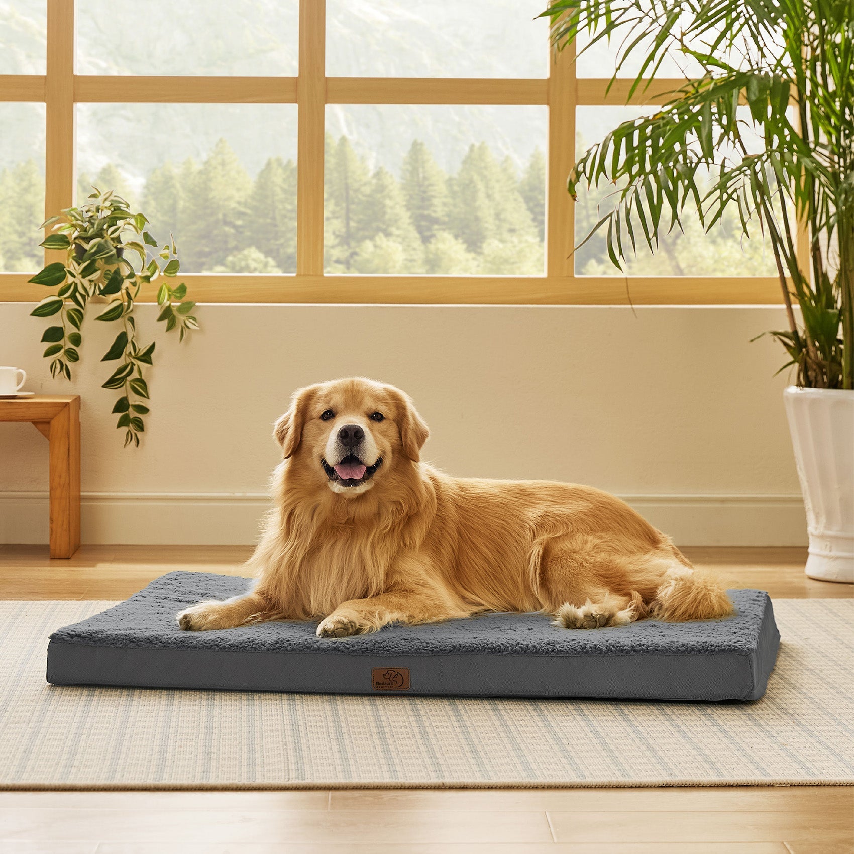 Large Orthopedic Washable Dog Bed